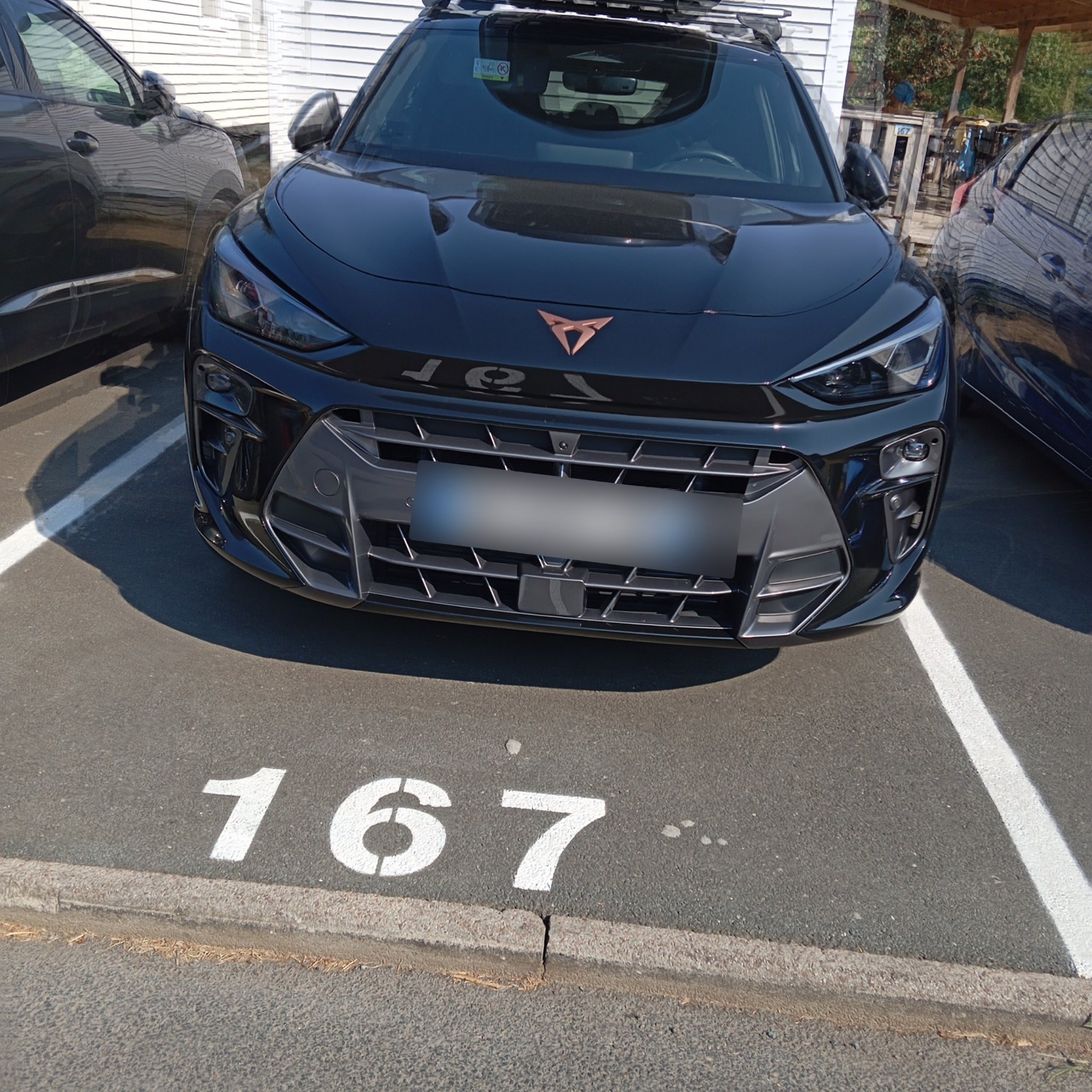 2024 Cupra Terramar
