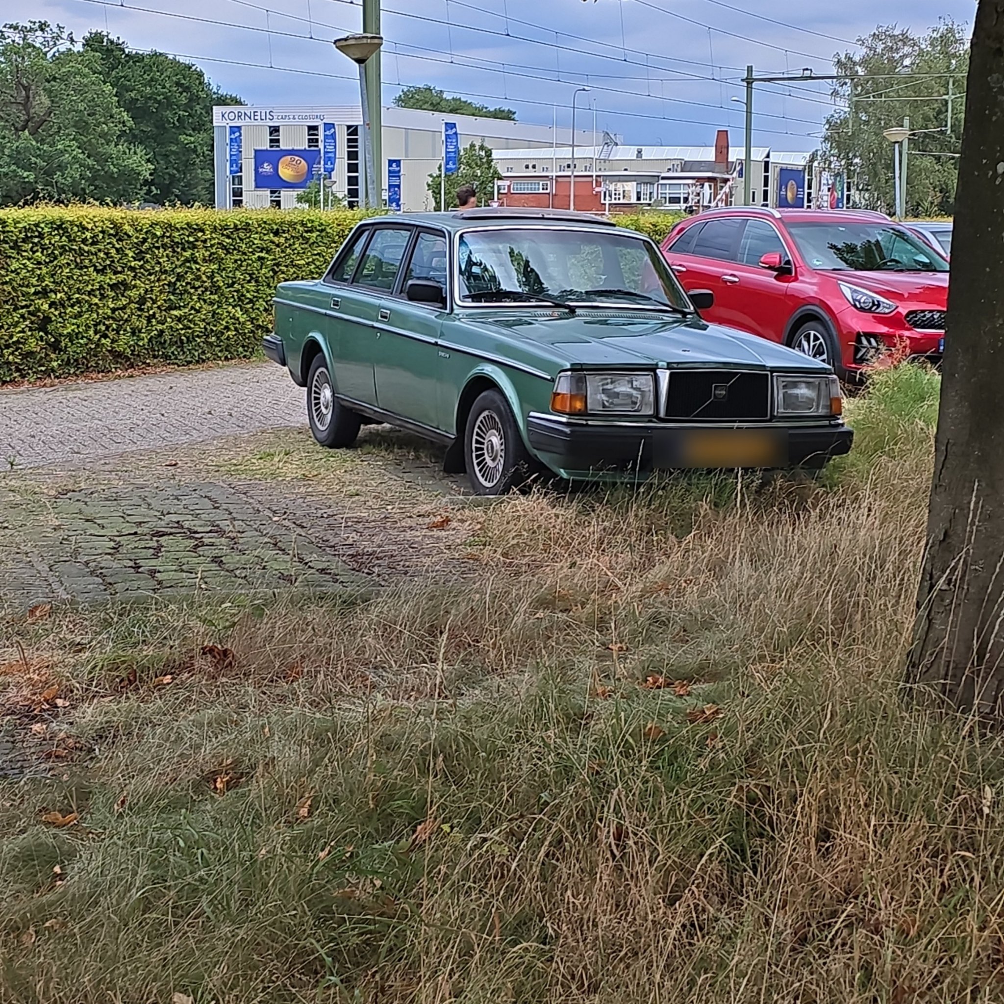 1974 Volvo 244