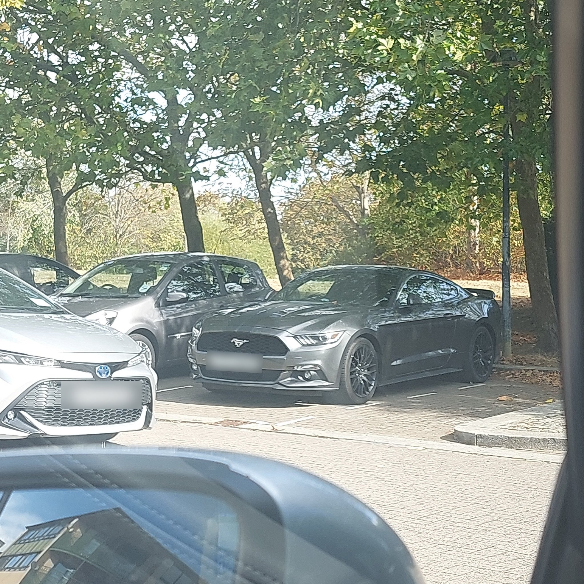 2015 Ford Mustang (S550) Fastback