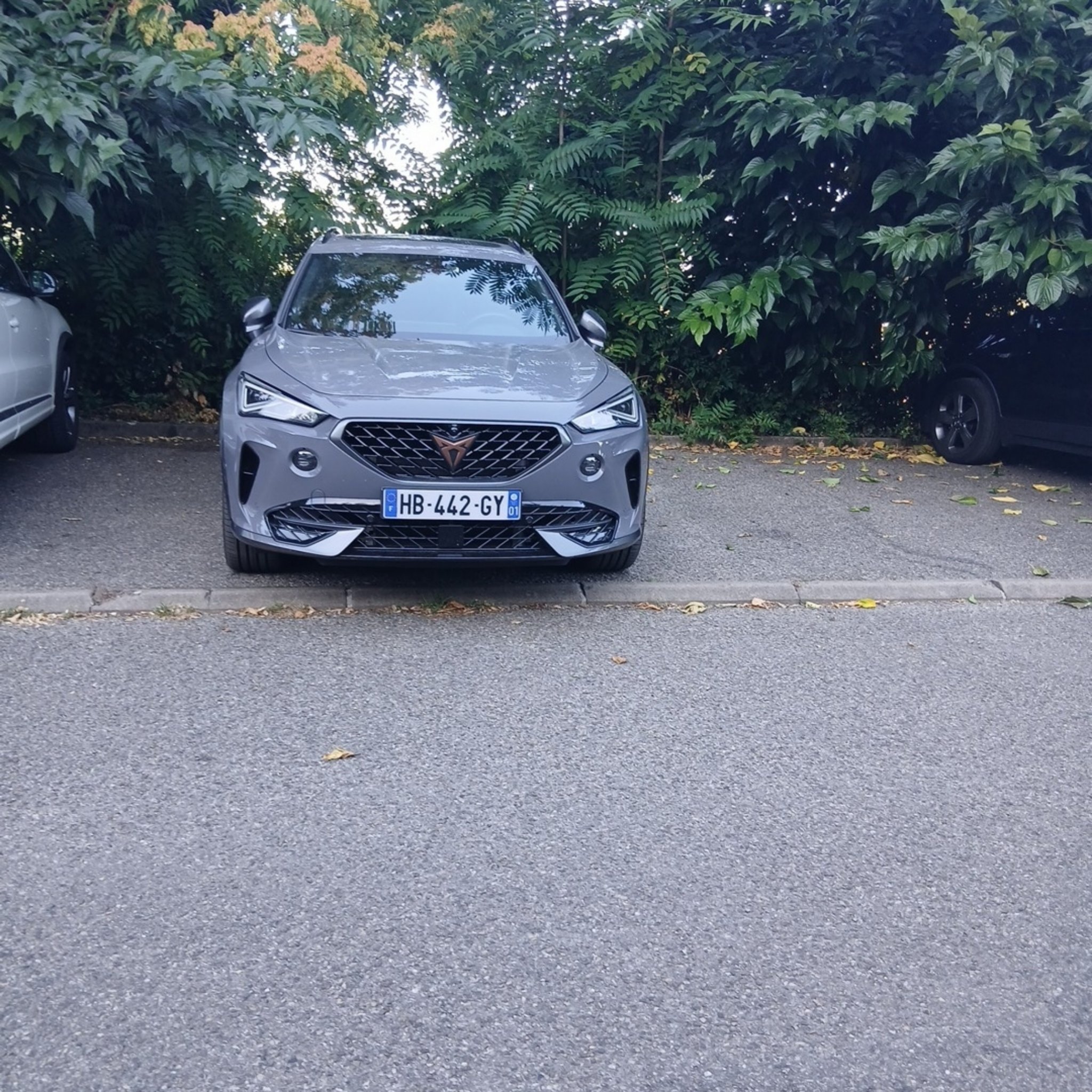 2020 Cupra Formentor