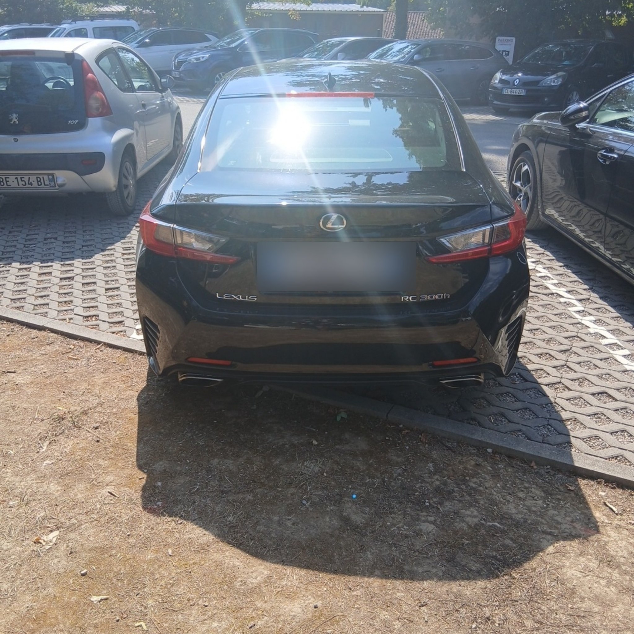2014 Lexus RC 300h