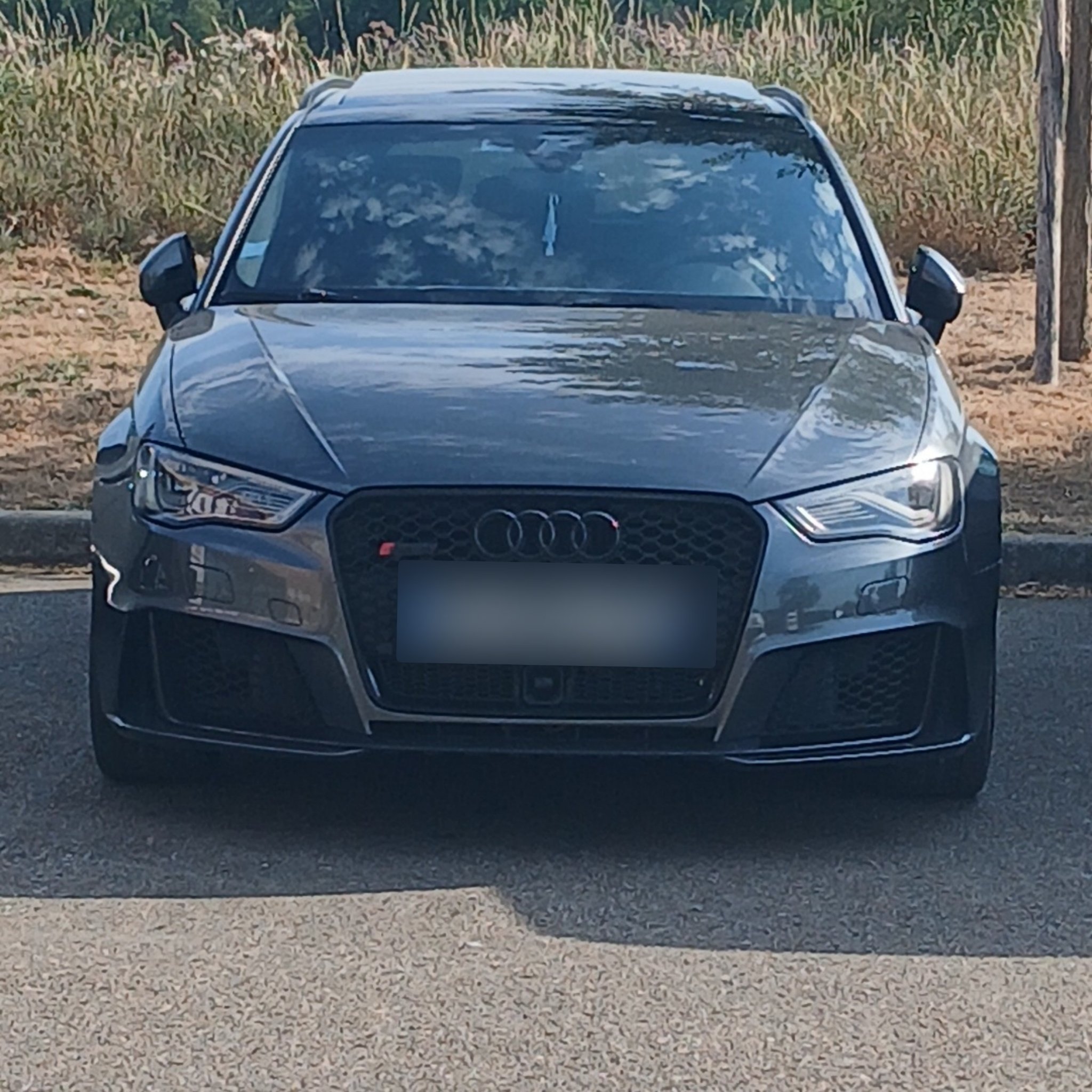 2015 Audi RS 3 (8V) Sportback