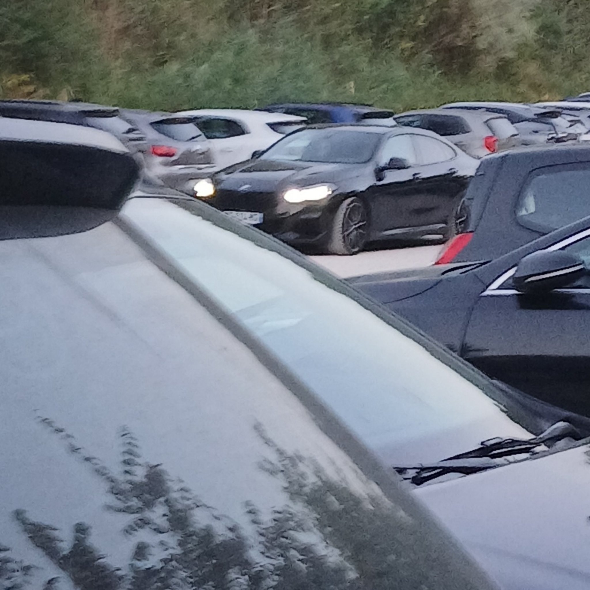 2016 BMW M2 (F87)