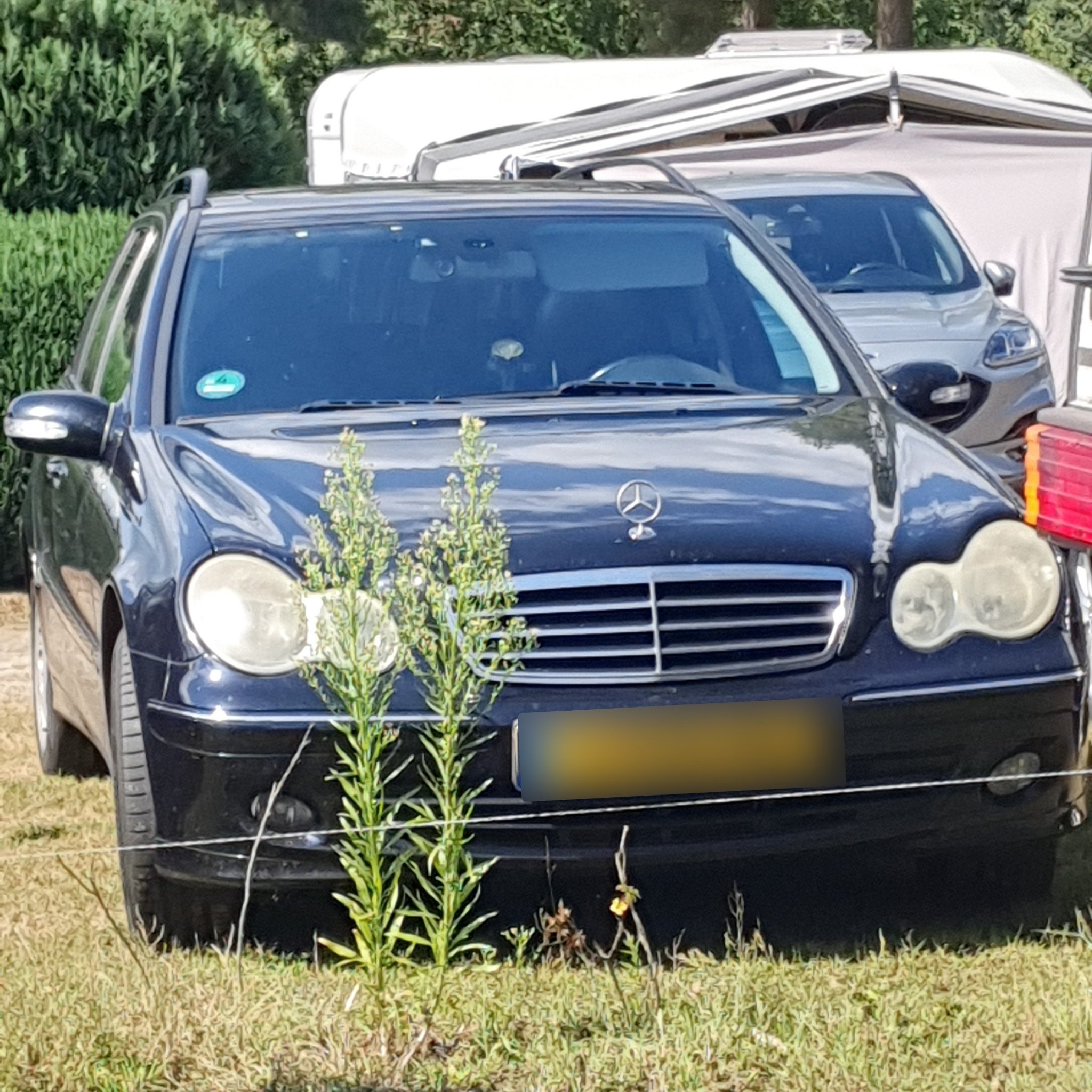 2000 Mercedes-Benz C-Class (W203) Estate