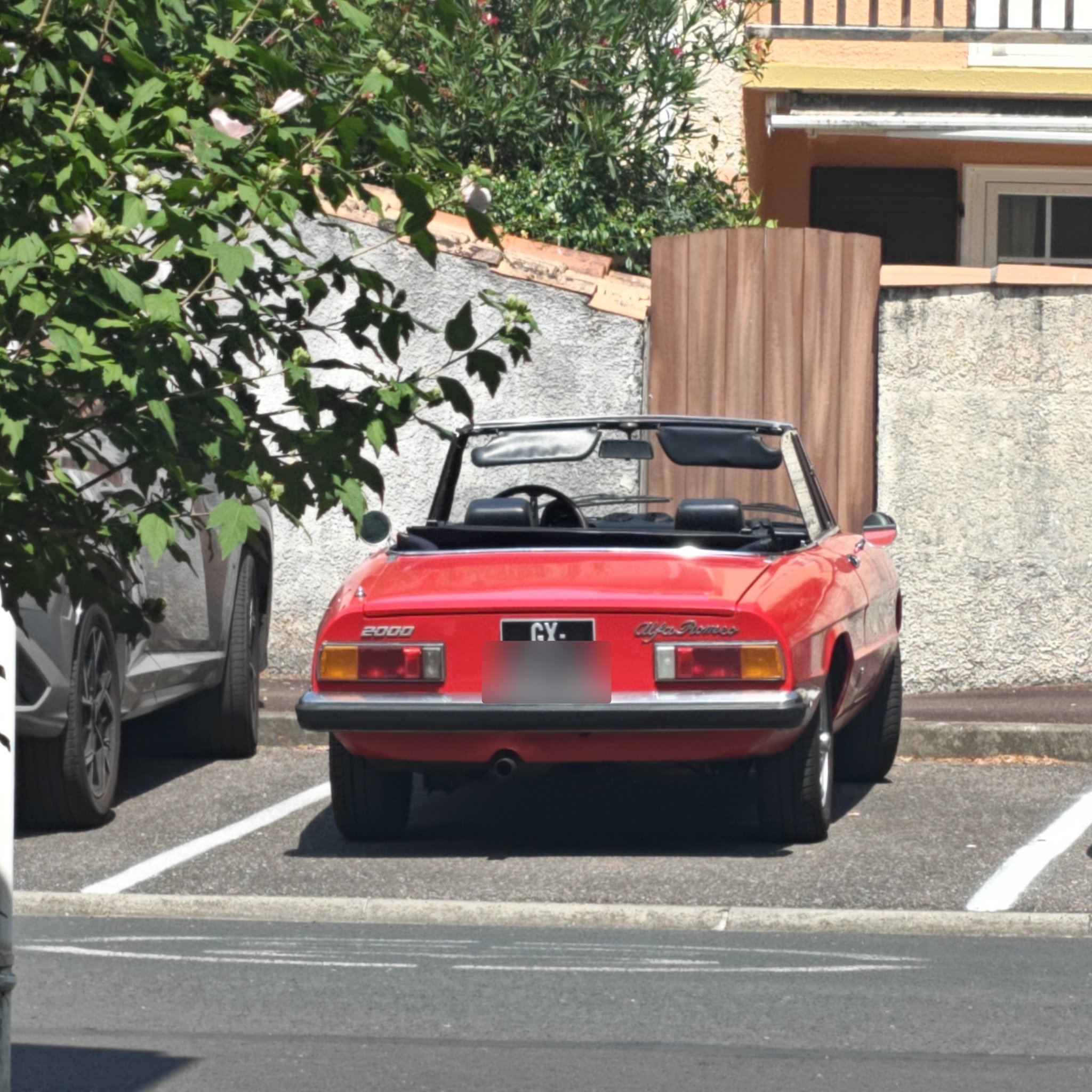 1983 Alfa Romeo Spider (Series 3) 2000