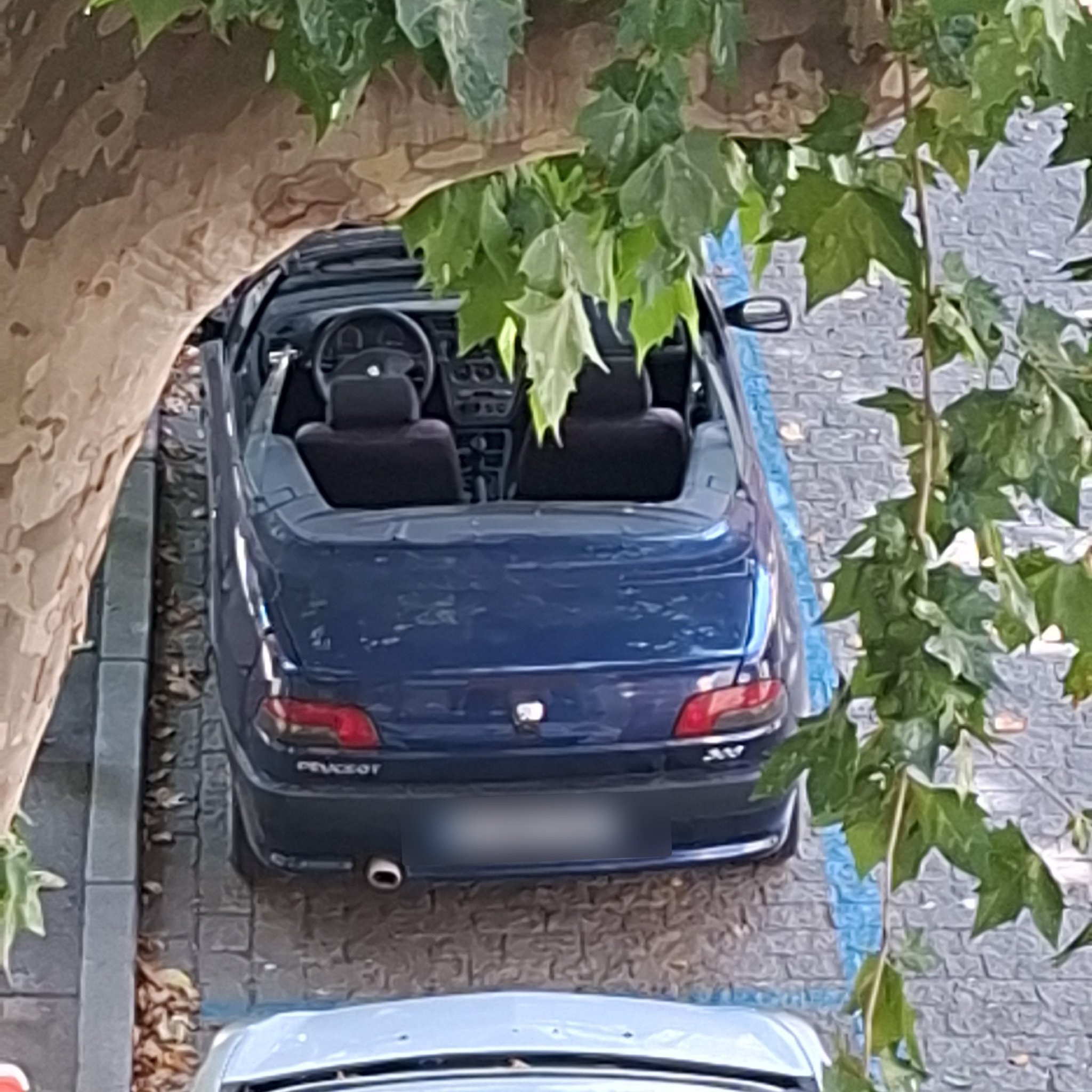 1994 Peugeot 306 Cabriolet