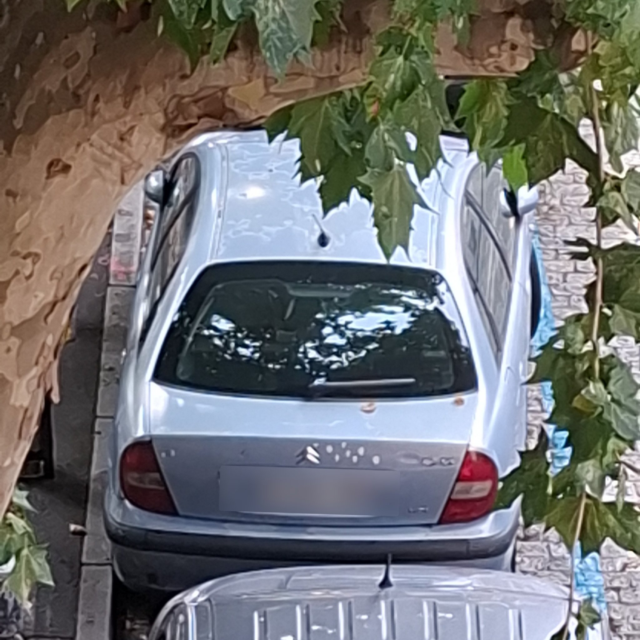 1996 Citroën Saxo (S0/S1)