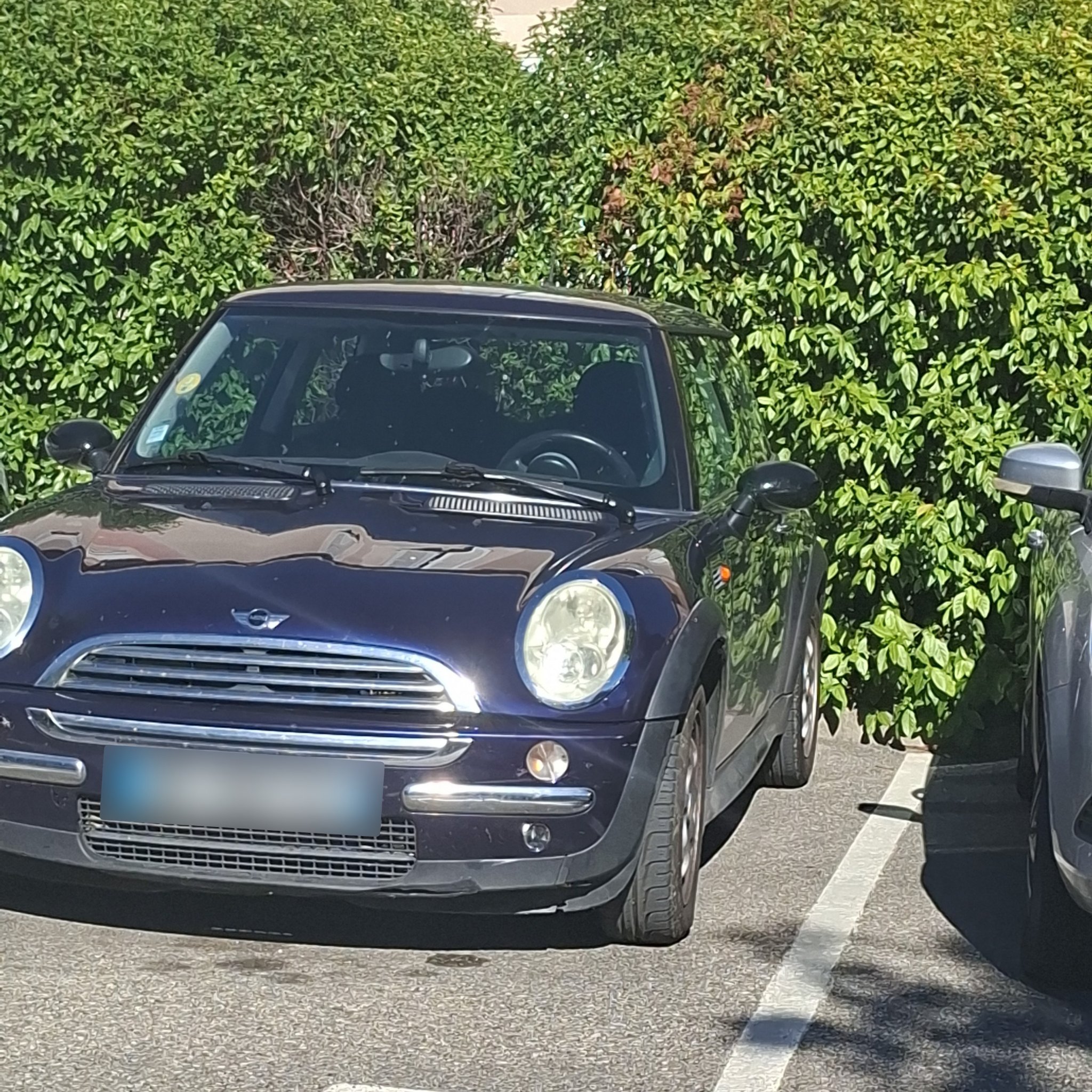 2001 Mini Cooper (R50)