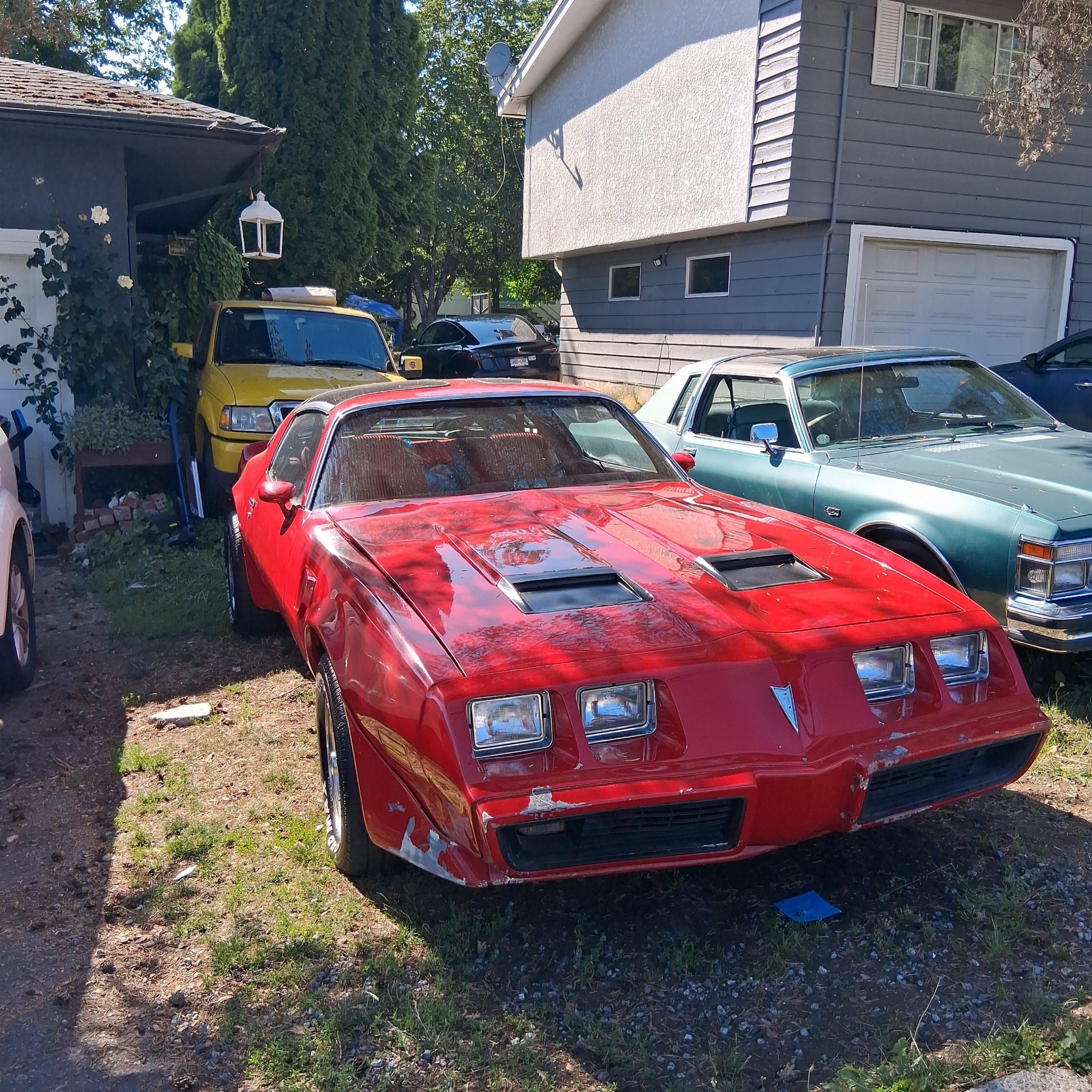 1977 Pontiac Firebird Trans Am (Second Gen)