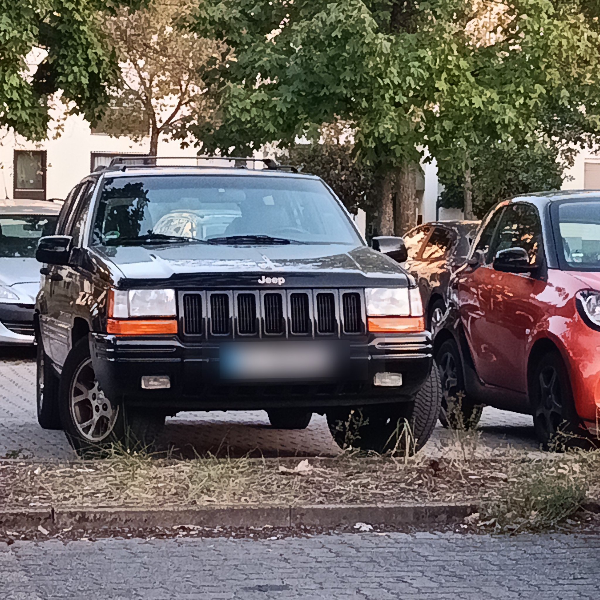 1992 Jeep Grand Cherokee (ZJ)