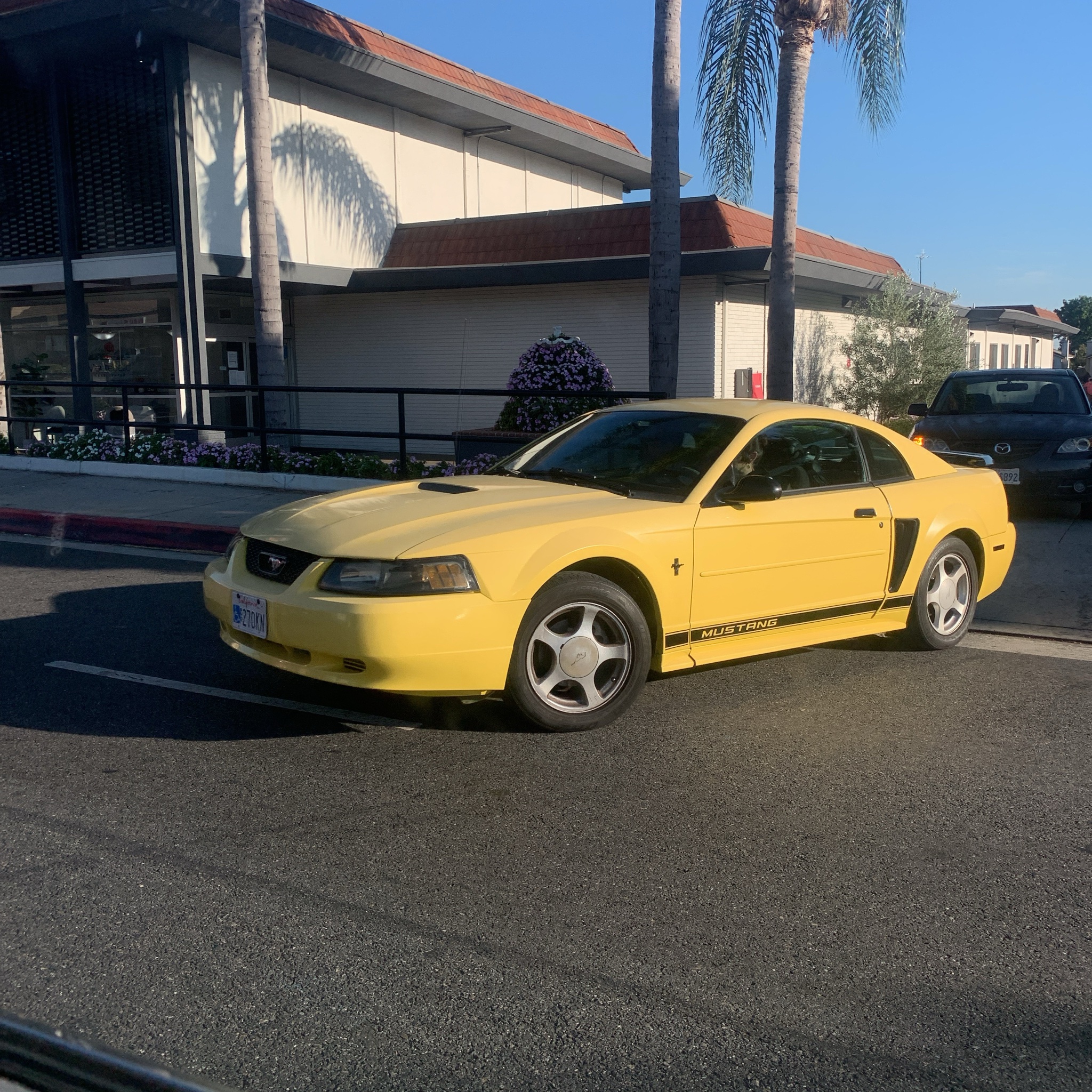 1994 Ford Mustang (SN95)