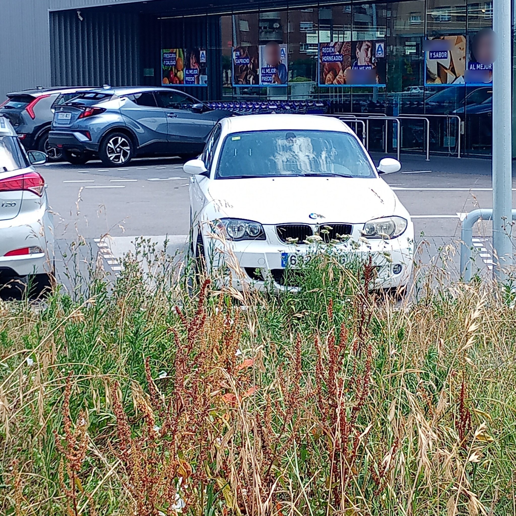 2004 BMW 1 Series (E87)