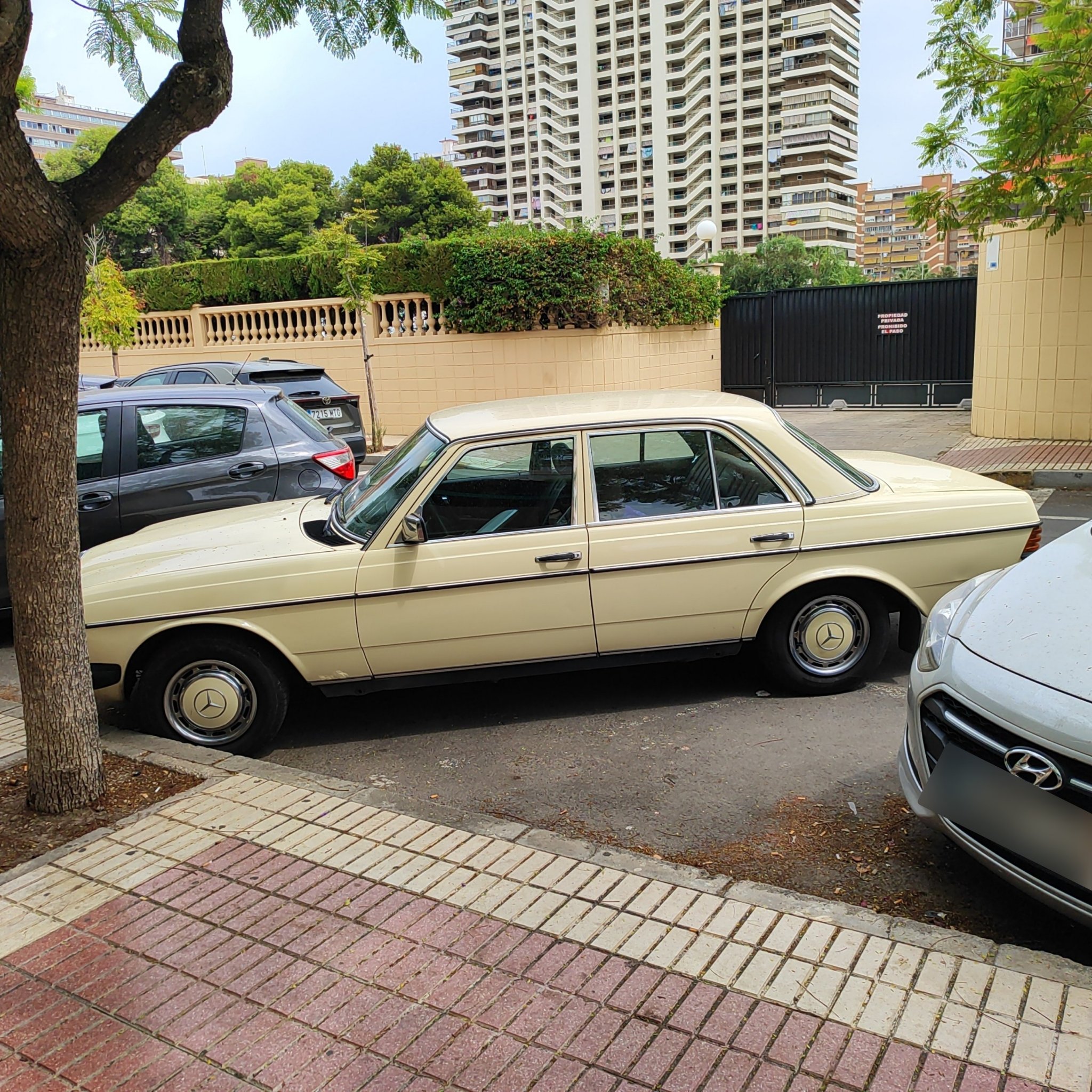 1976 Mercedes-Benz E-Class (W123)