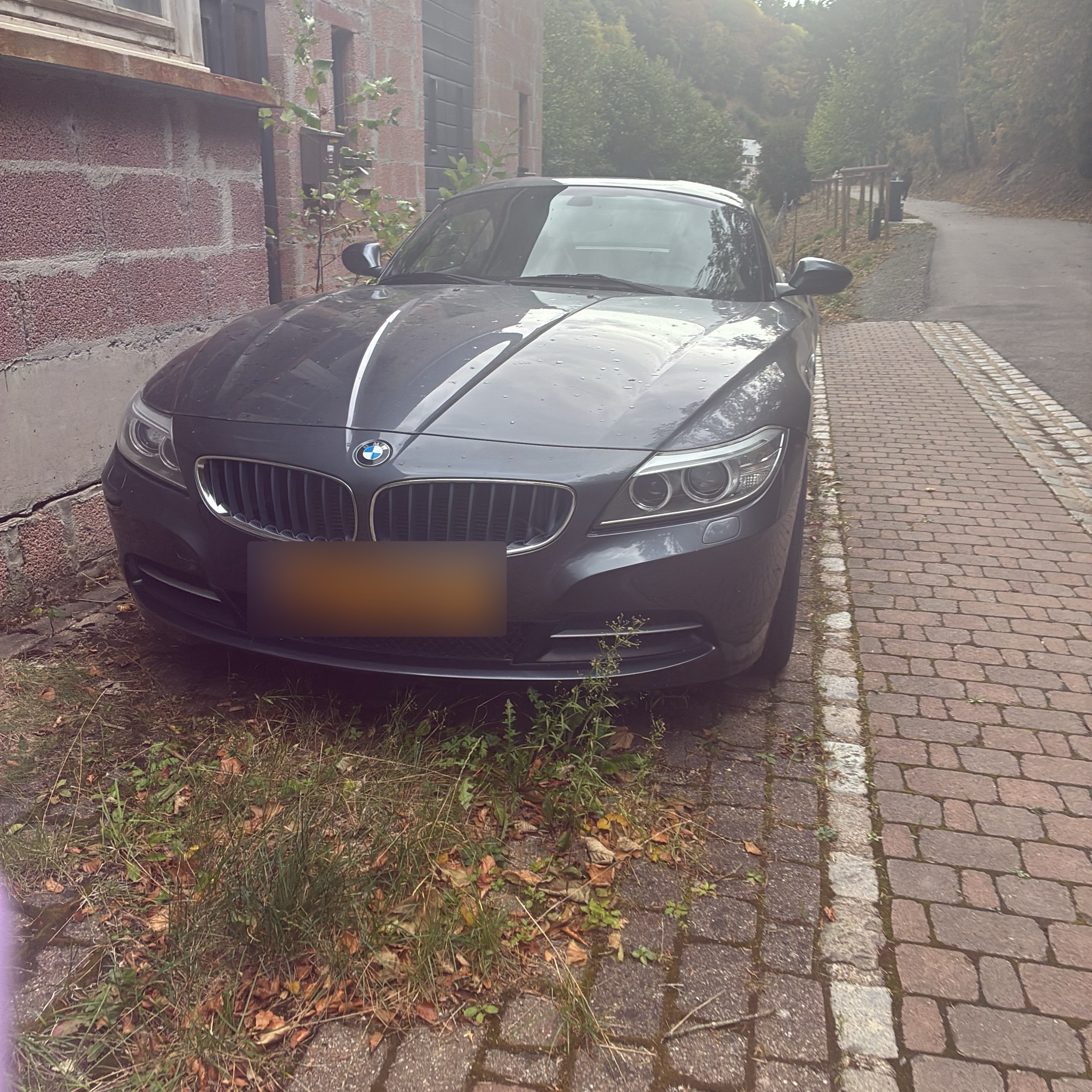 2009 BMW Z4 (E89)