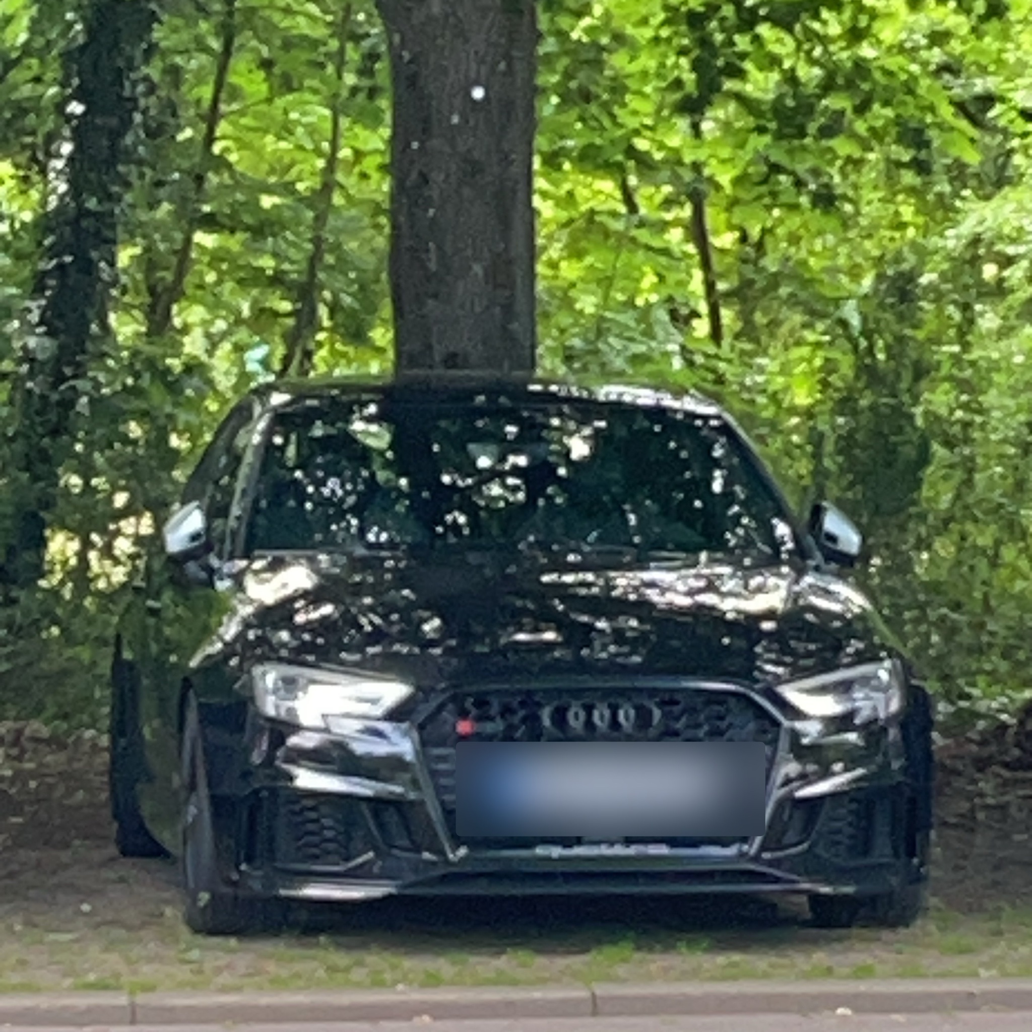 2021 Audi RS3 (8Y)
