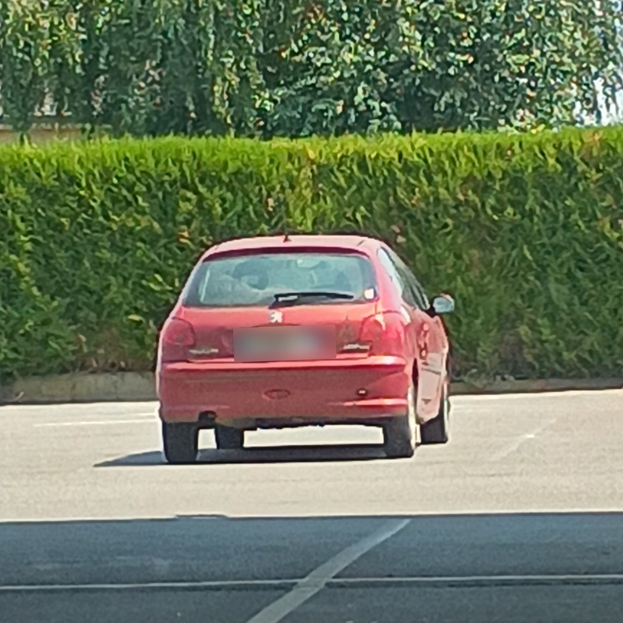 1998 Peugeot 206