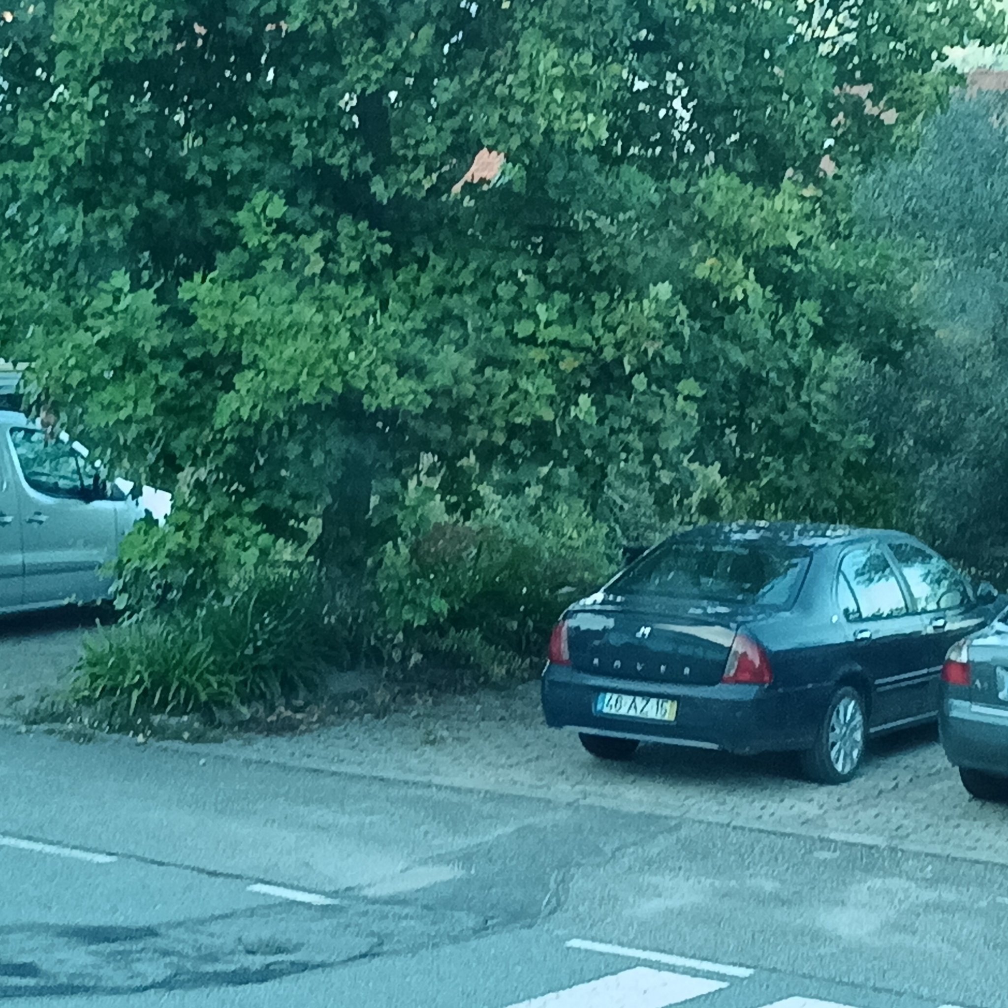 1999 Rover 45