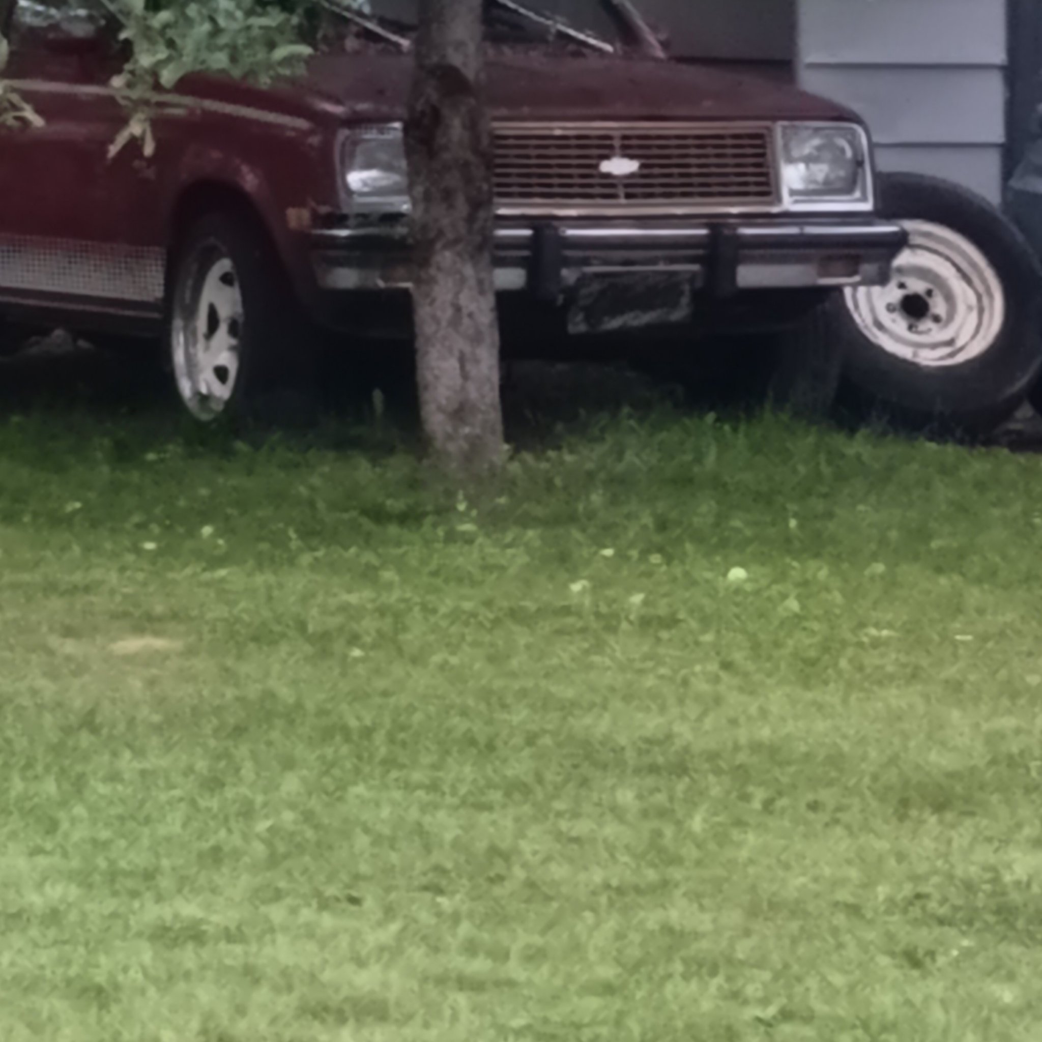 1980 Chevrolet Citation (X11)