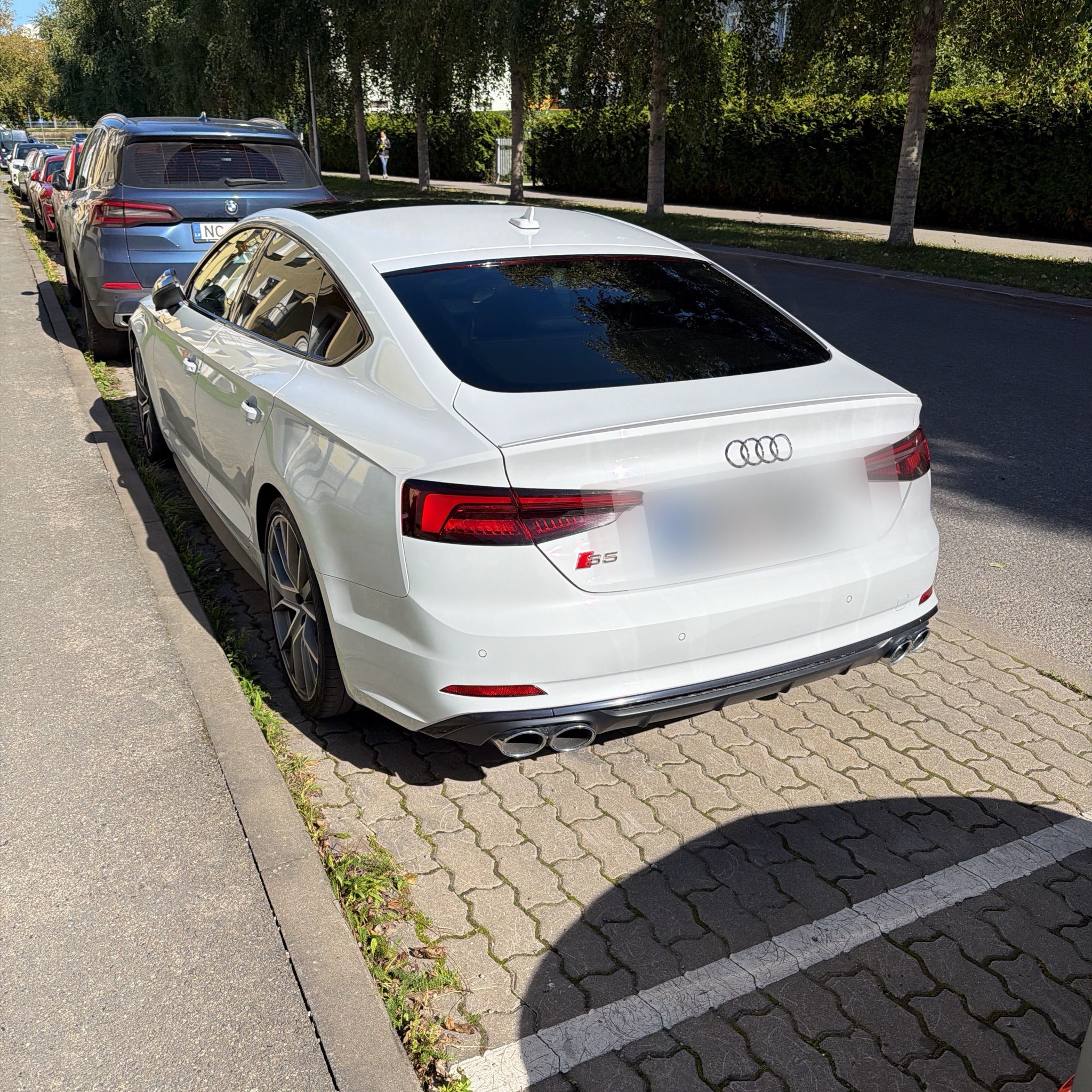 2016 Audi S5 (F5) Sportback