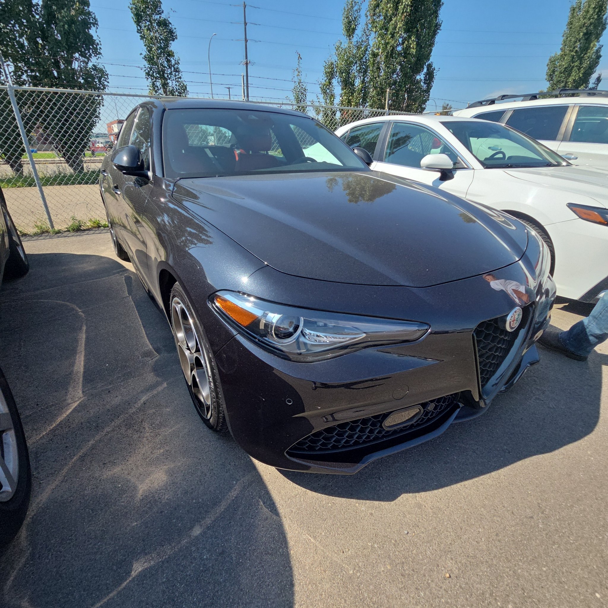 2016 Alfa Romeo Giulia (952)