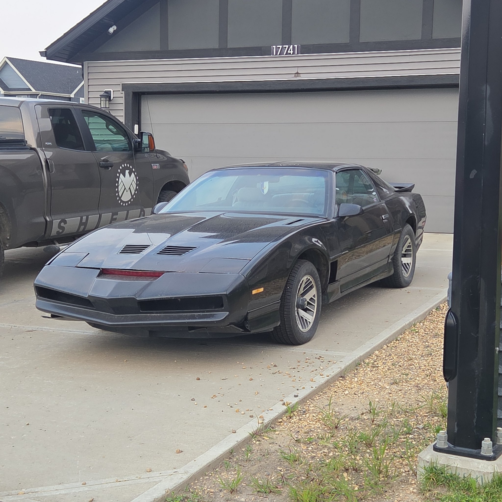 1982 Pontiac Firebird Trans Am (Third Gen)