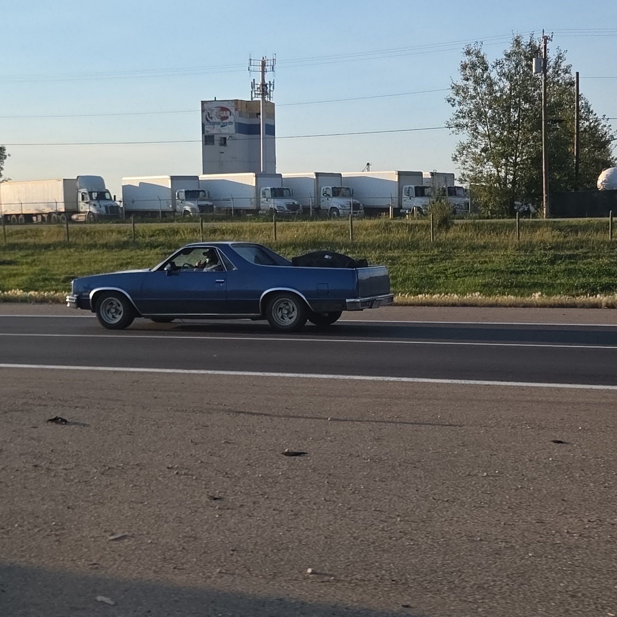 1982 Chevrolet El Camino (5th Gen)