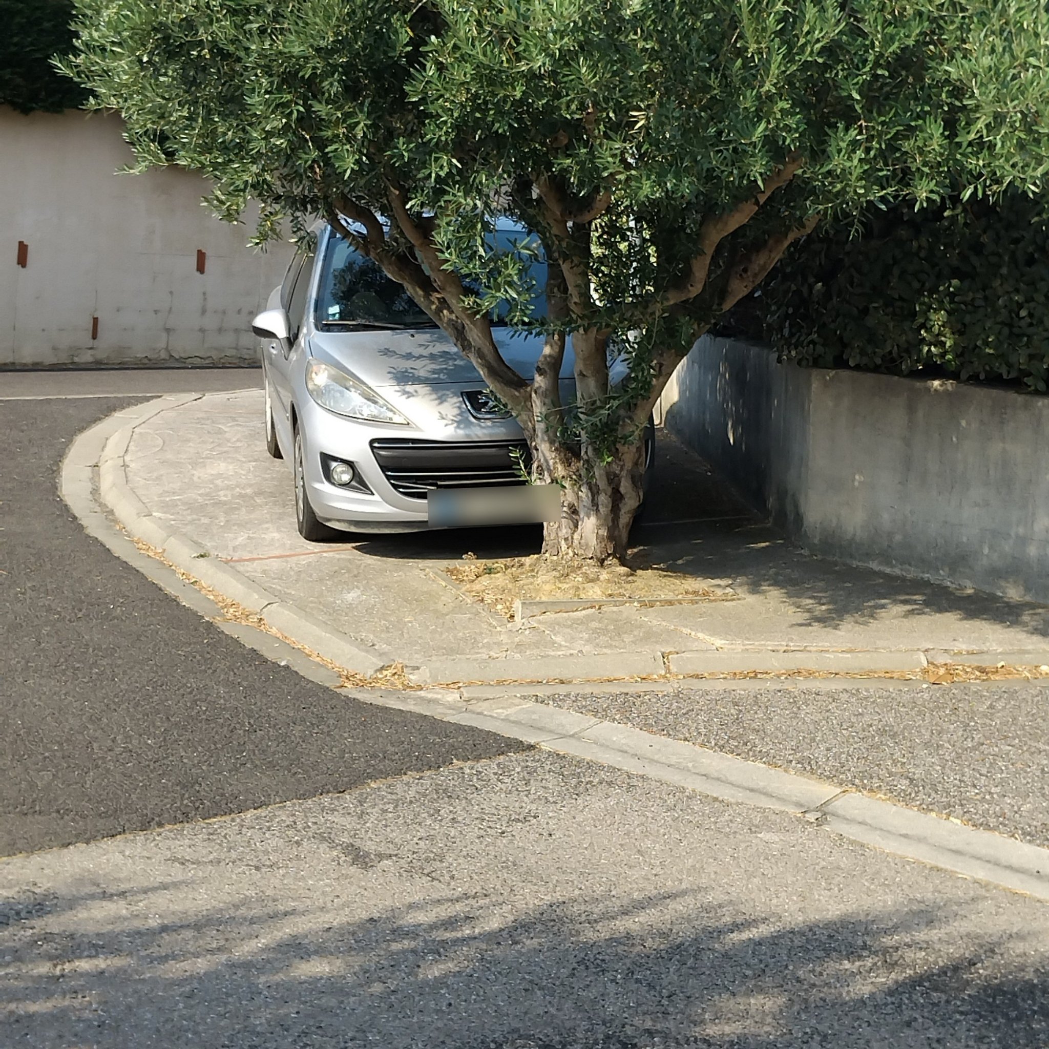 2006 Peugeot 207