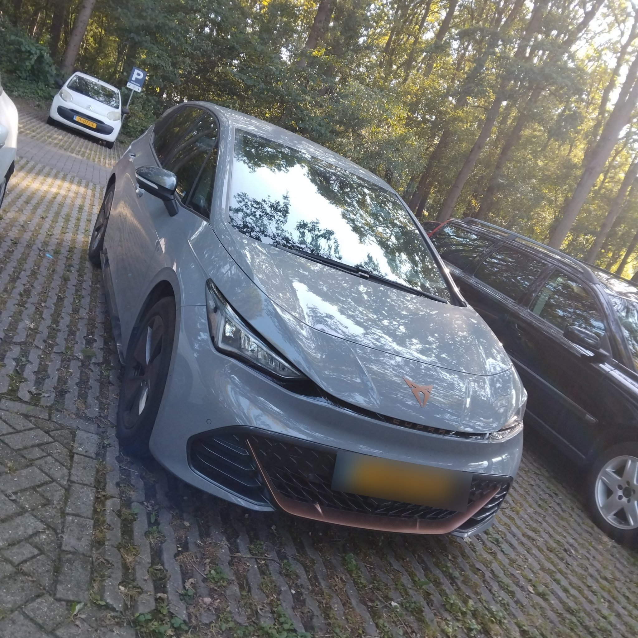 2021 Cupra Born