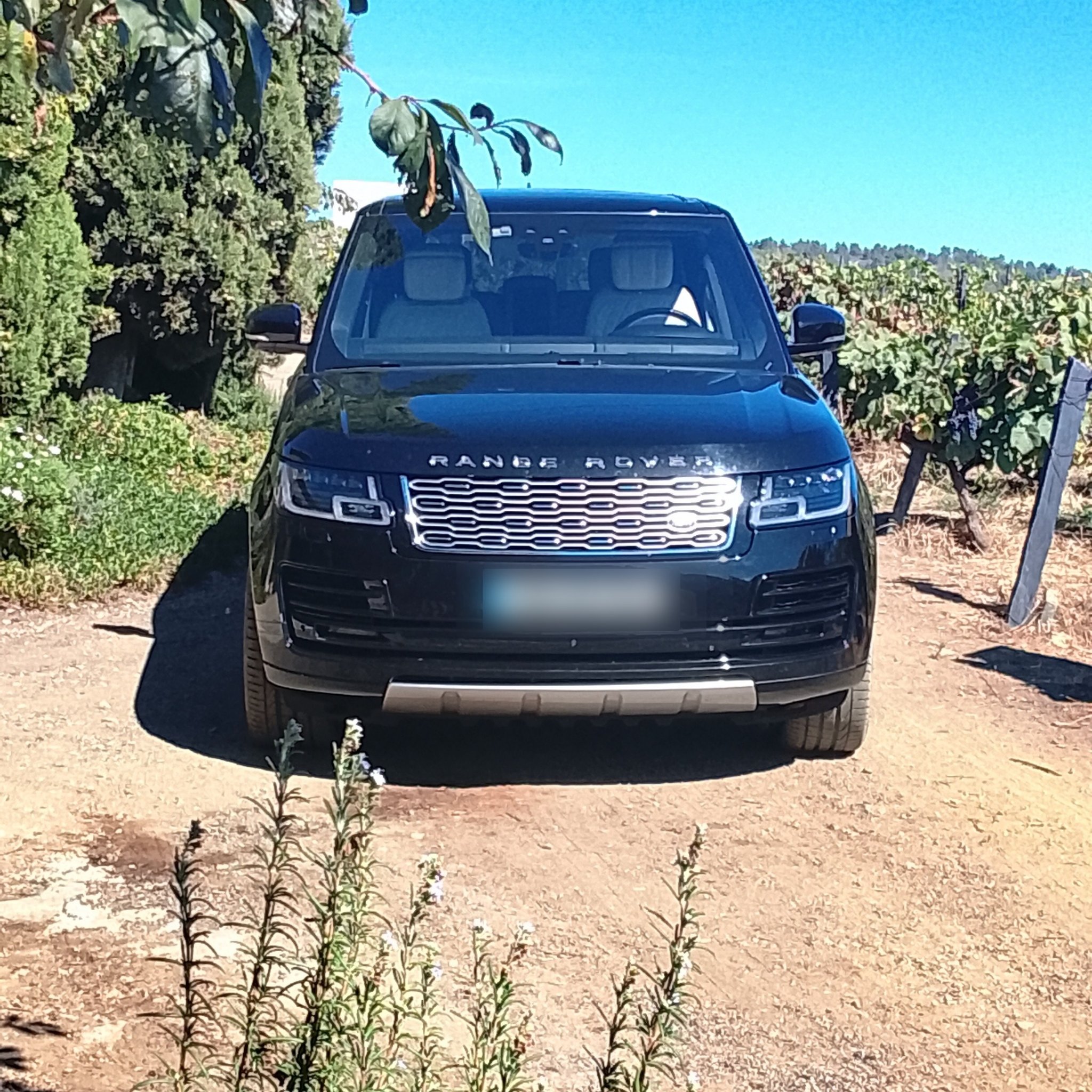 2012 Land Rover Range Rover (L405)