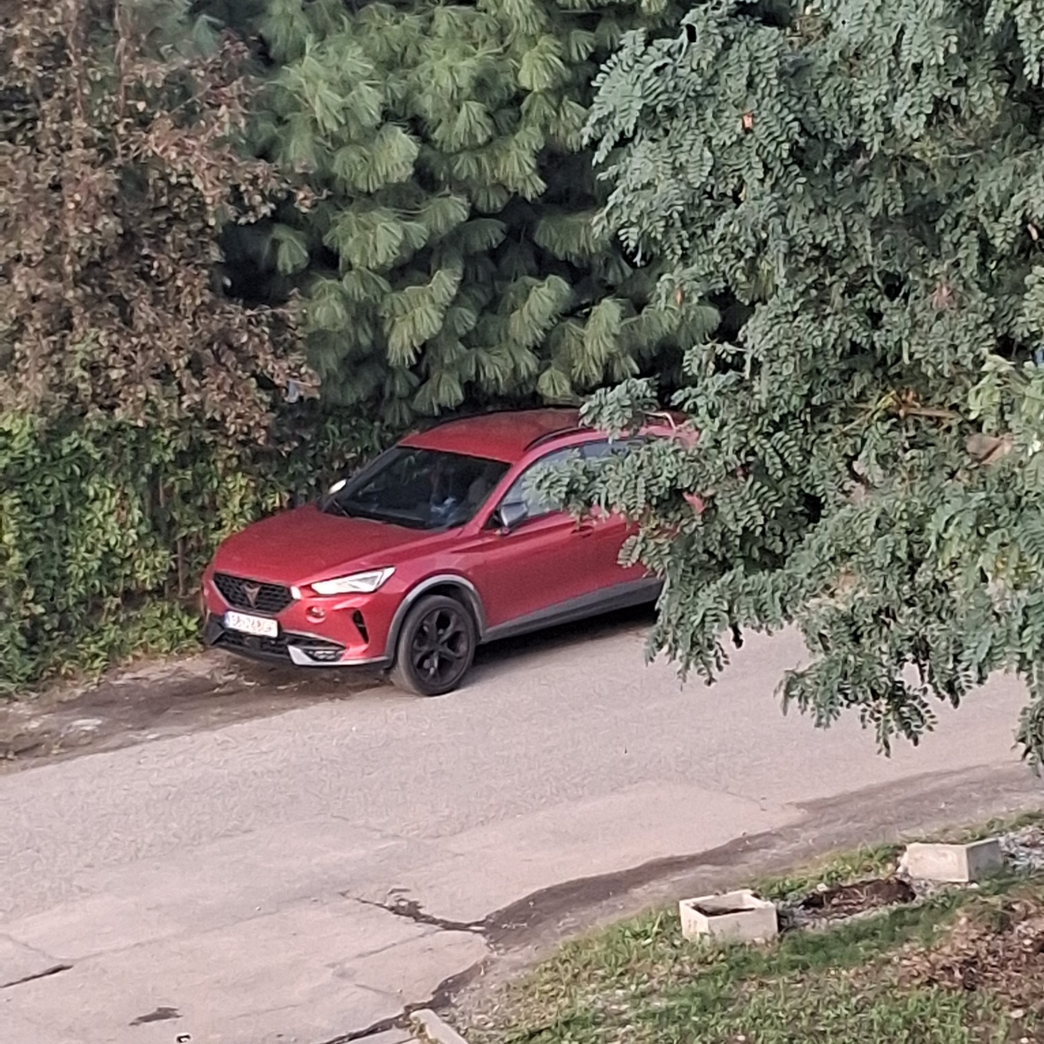 2021 Cupra Formentor (KM)