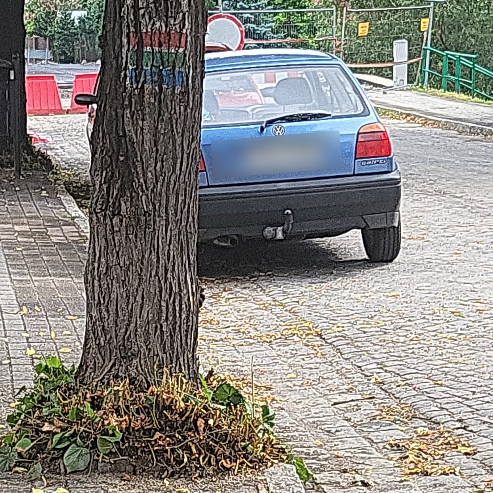 1991 Volkswagen Golf (Mk3)