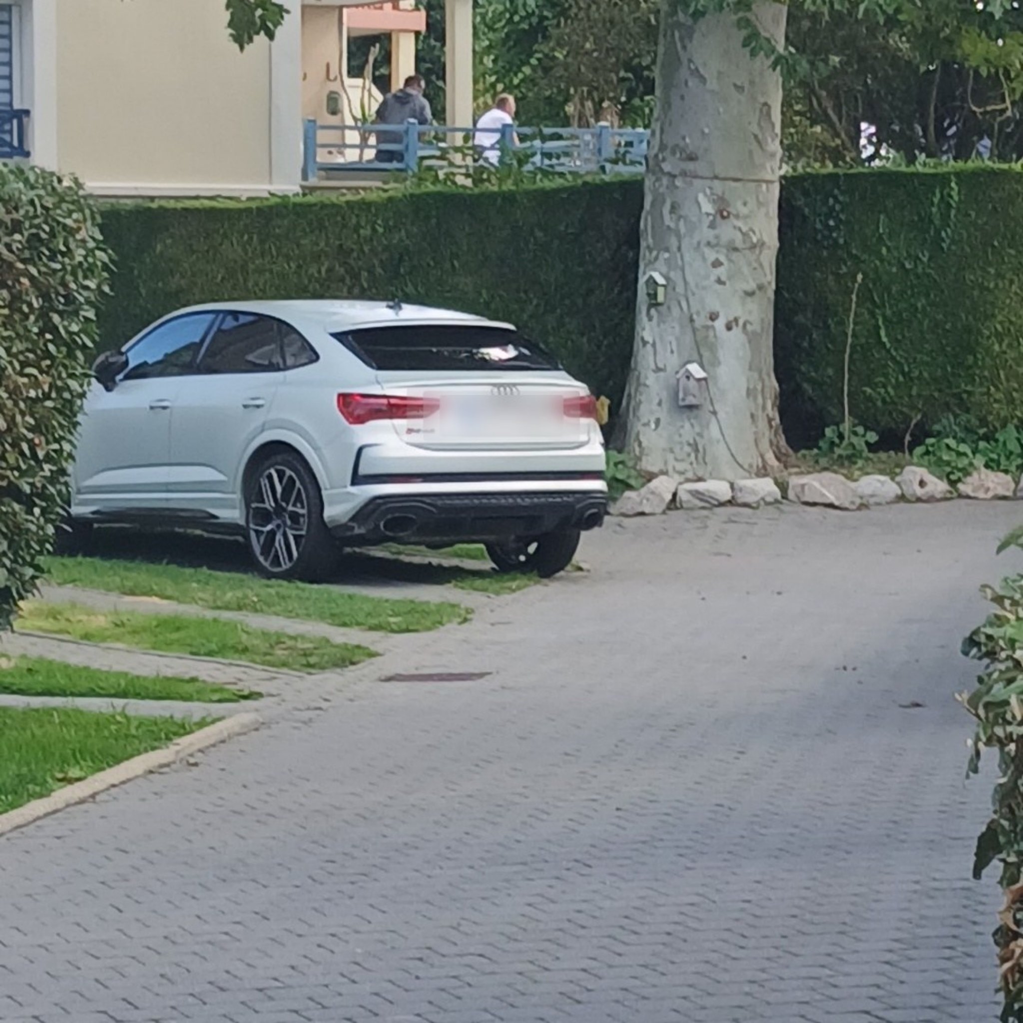 2019 Audi RS Q3 Sportback (F3)