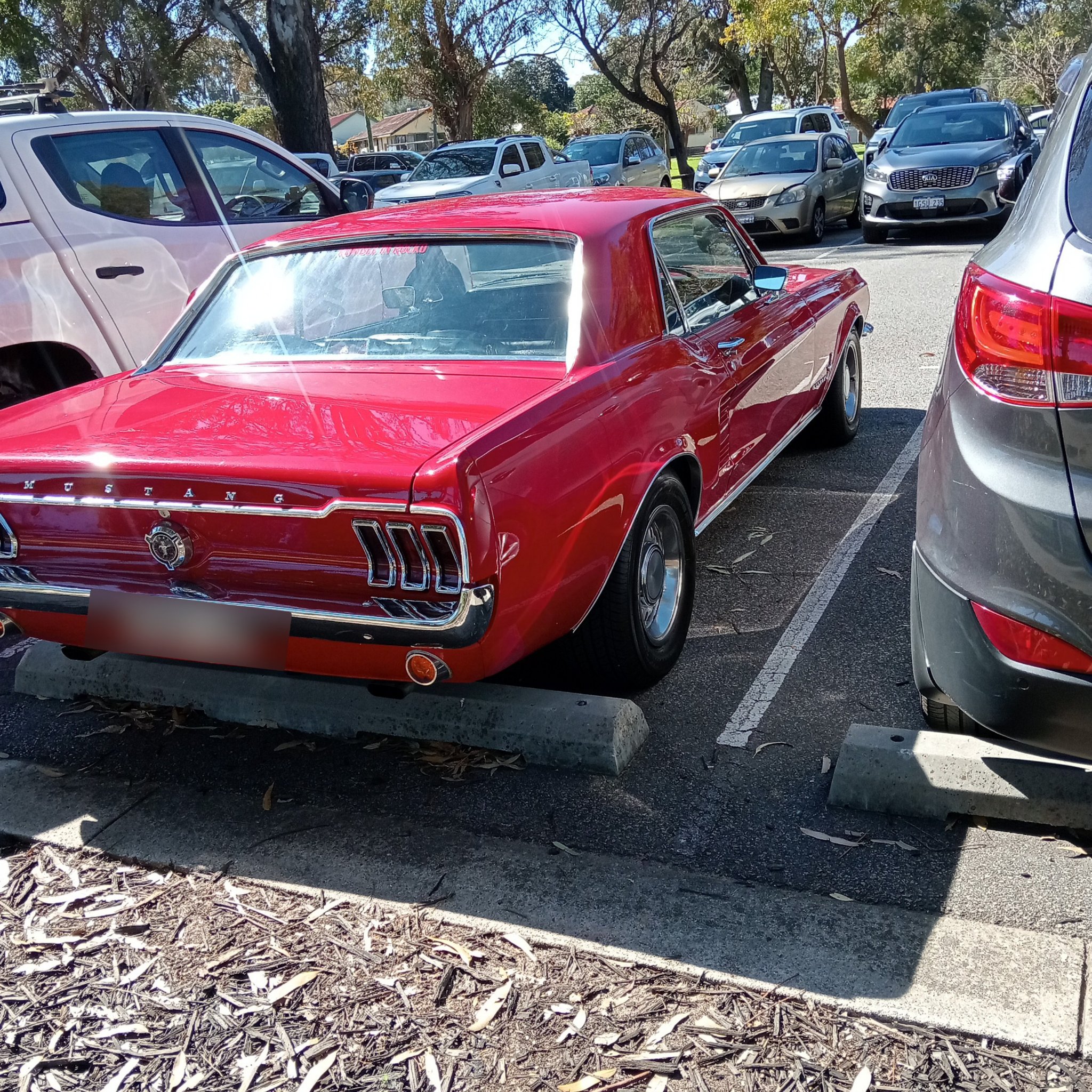 1964 Ford Mustang (1st Gen) Hardtop