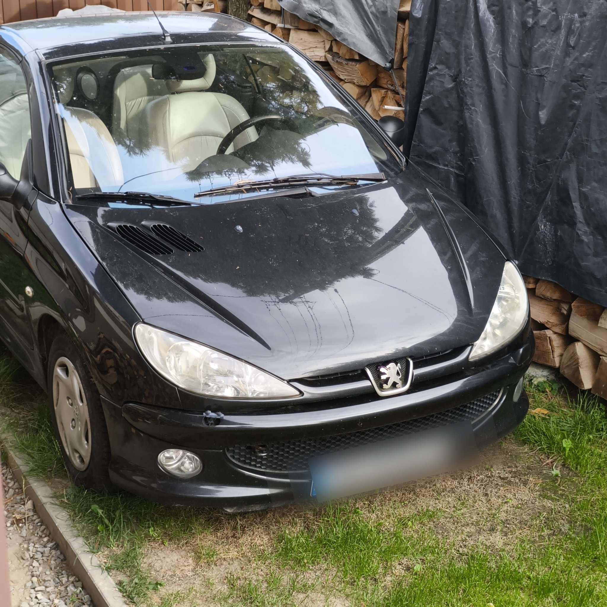 1998 Peugeot 206