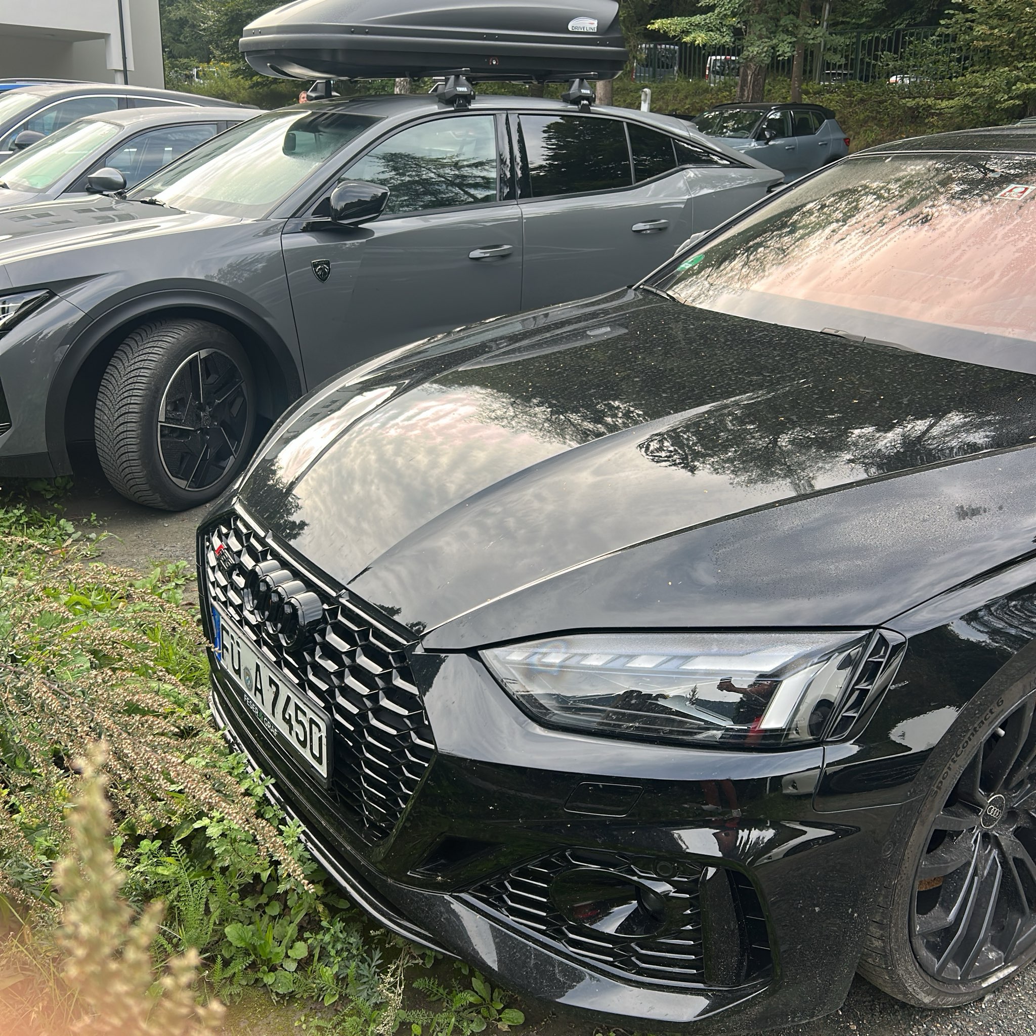 2017 Audi RS5 (F5) Sportback