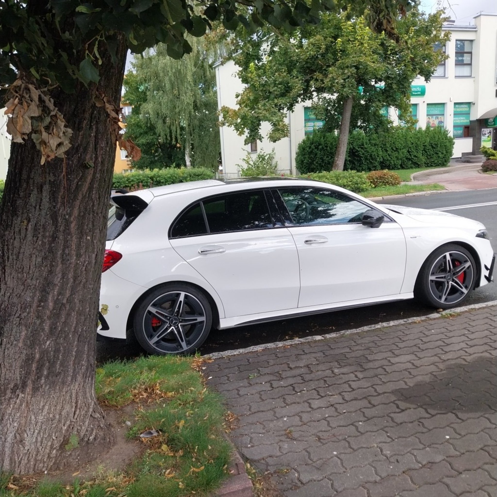 2019 Mercedes-AMG A 45 (W177)