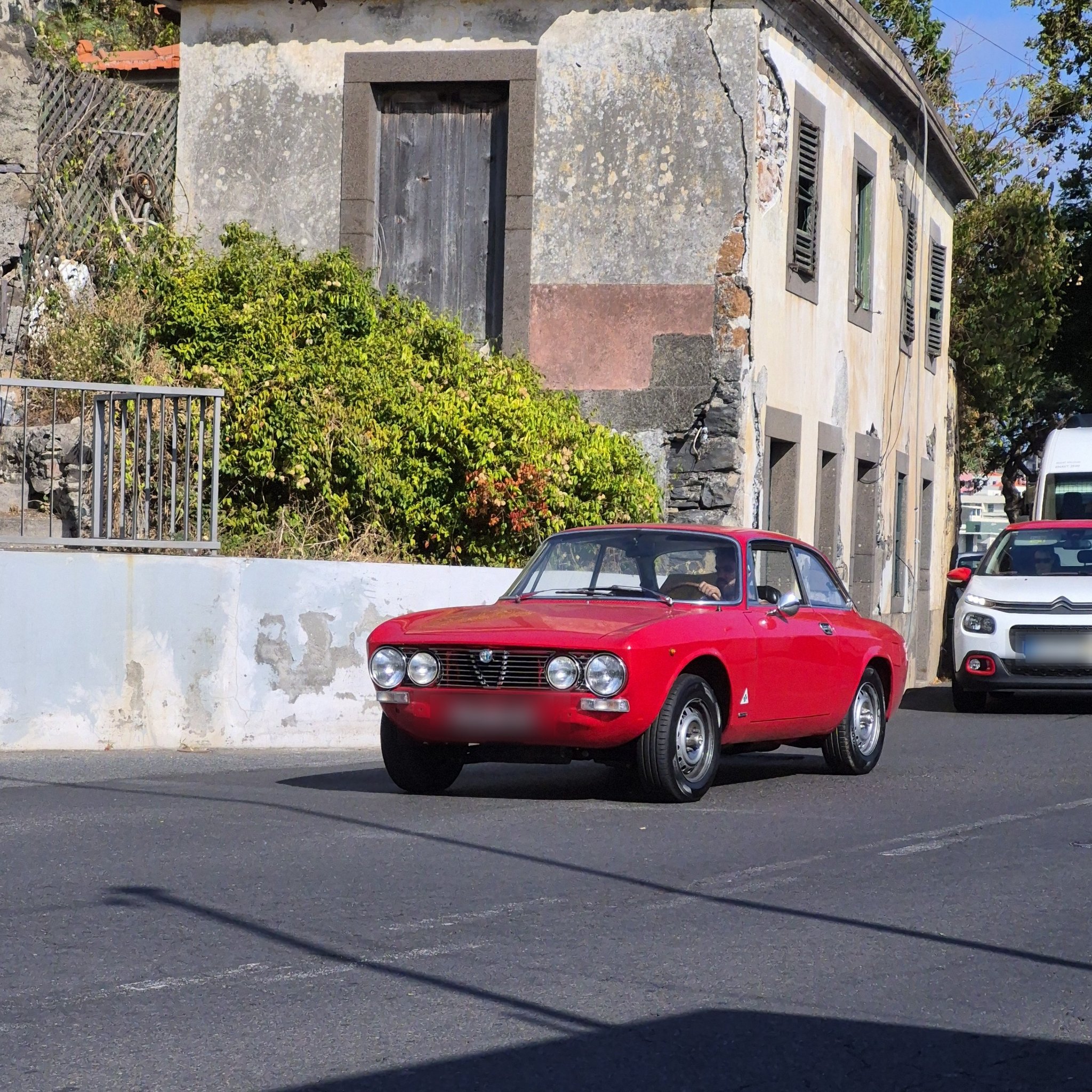 1966 Alfa Romeo GT Veloce (105)