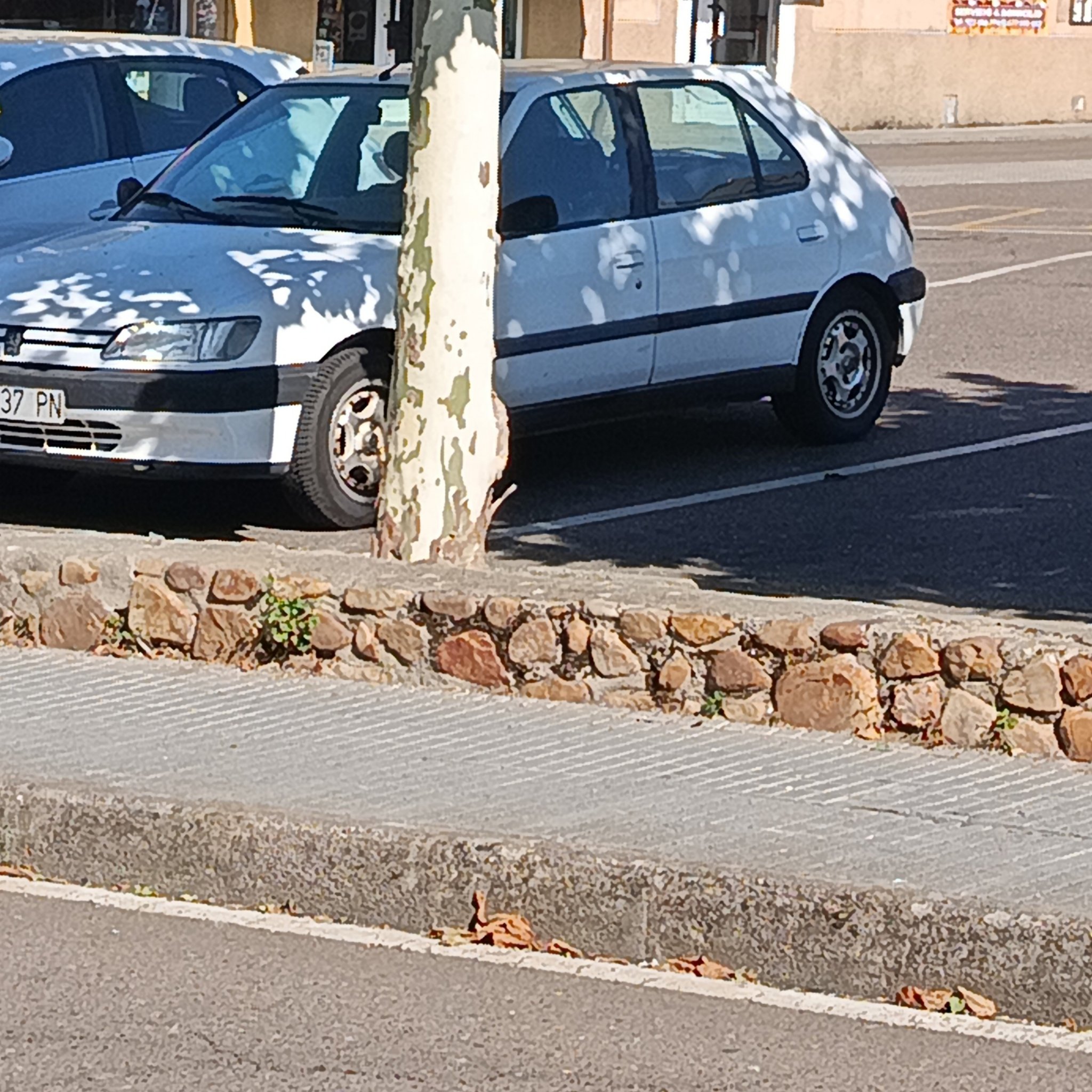 1993 Peugeot 306