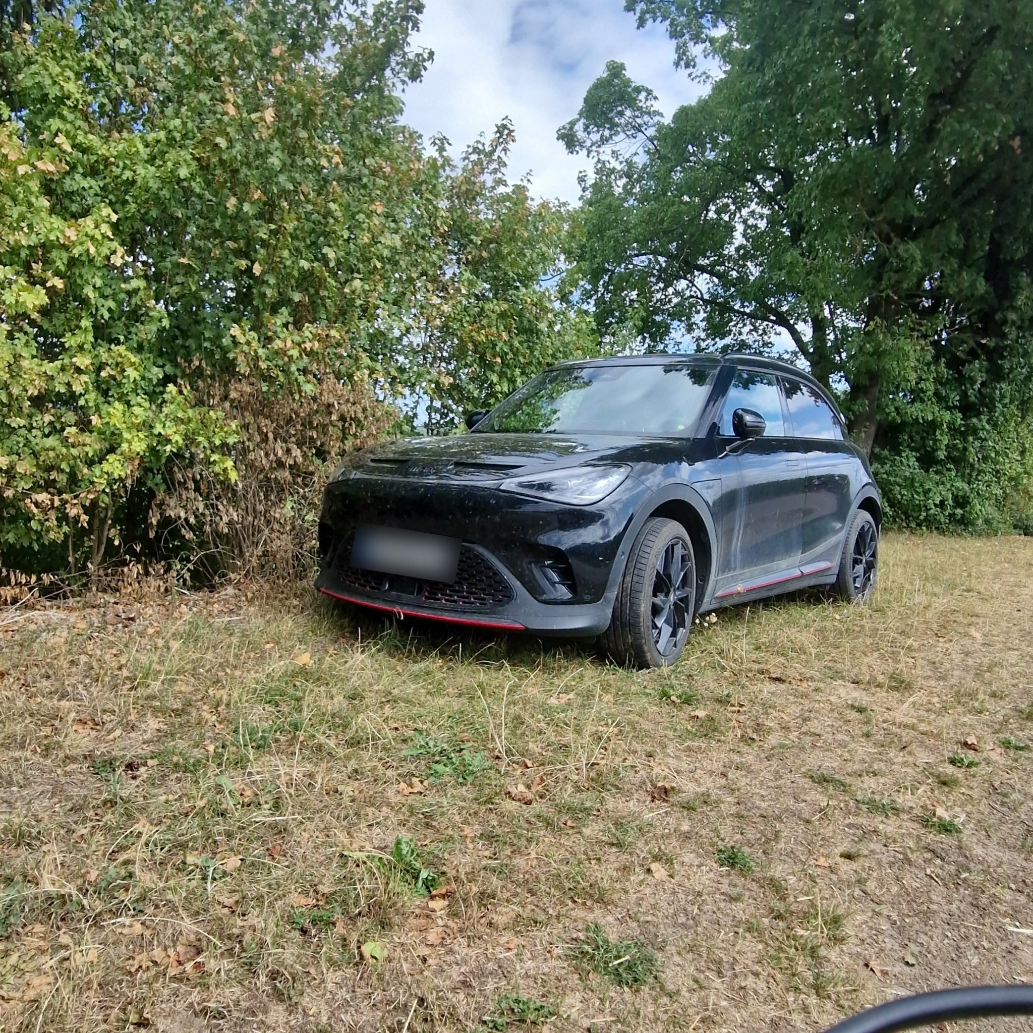 2021 Cupra Born