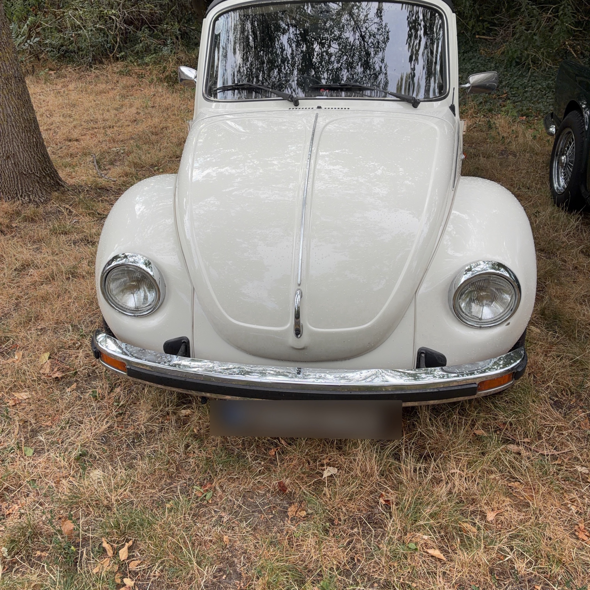 1949 Volkswagen Beetle (Type 1) Cabriolet