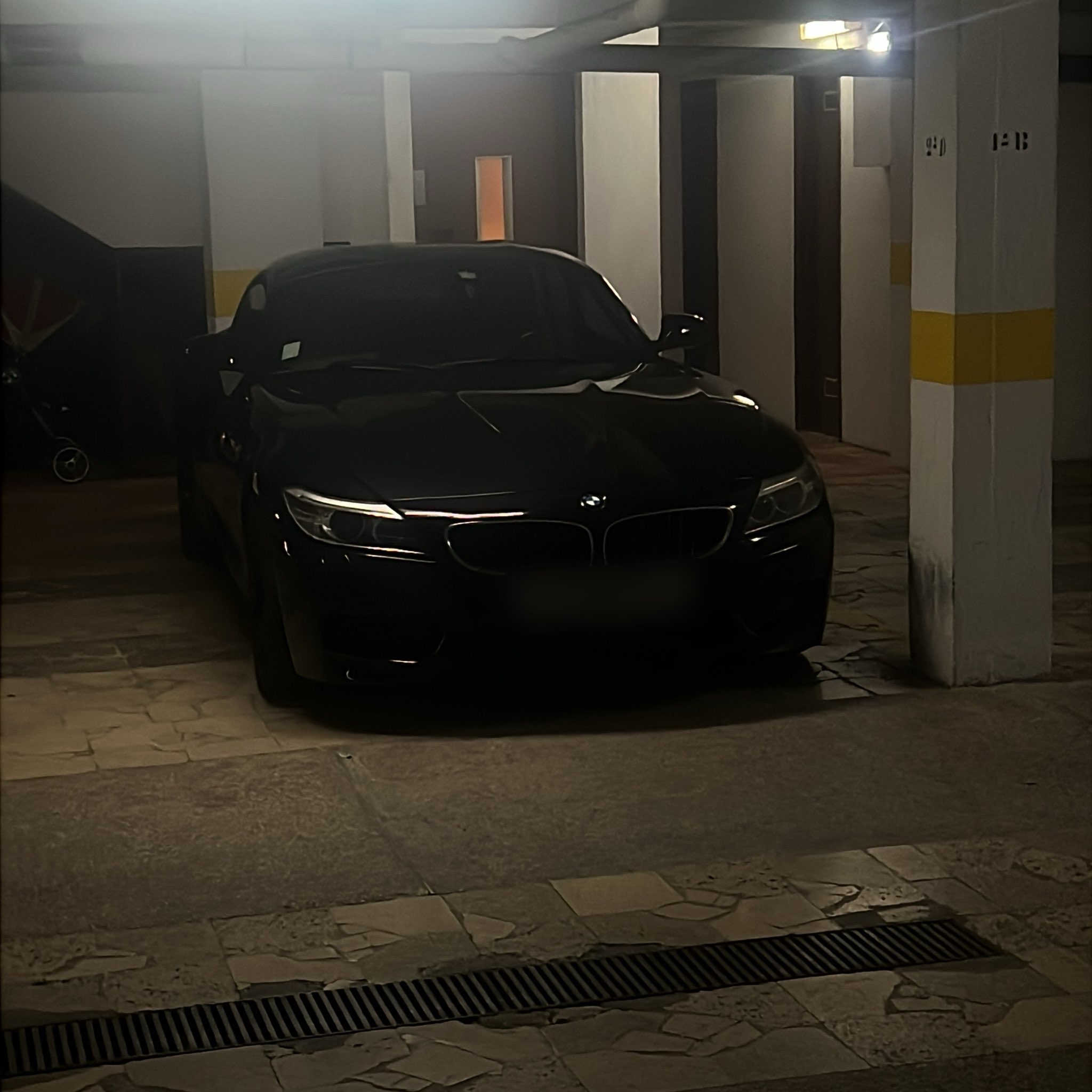 2009 BMW Z4 (E89)