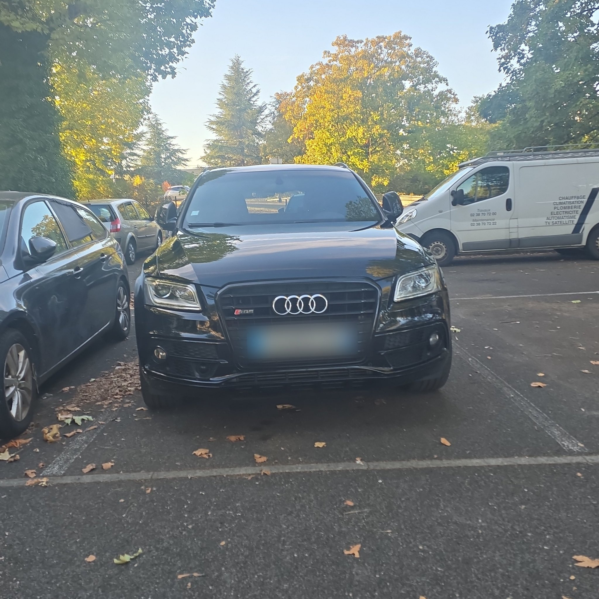 2013 Audi SQ5 (8R)