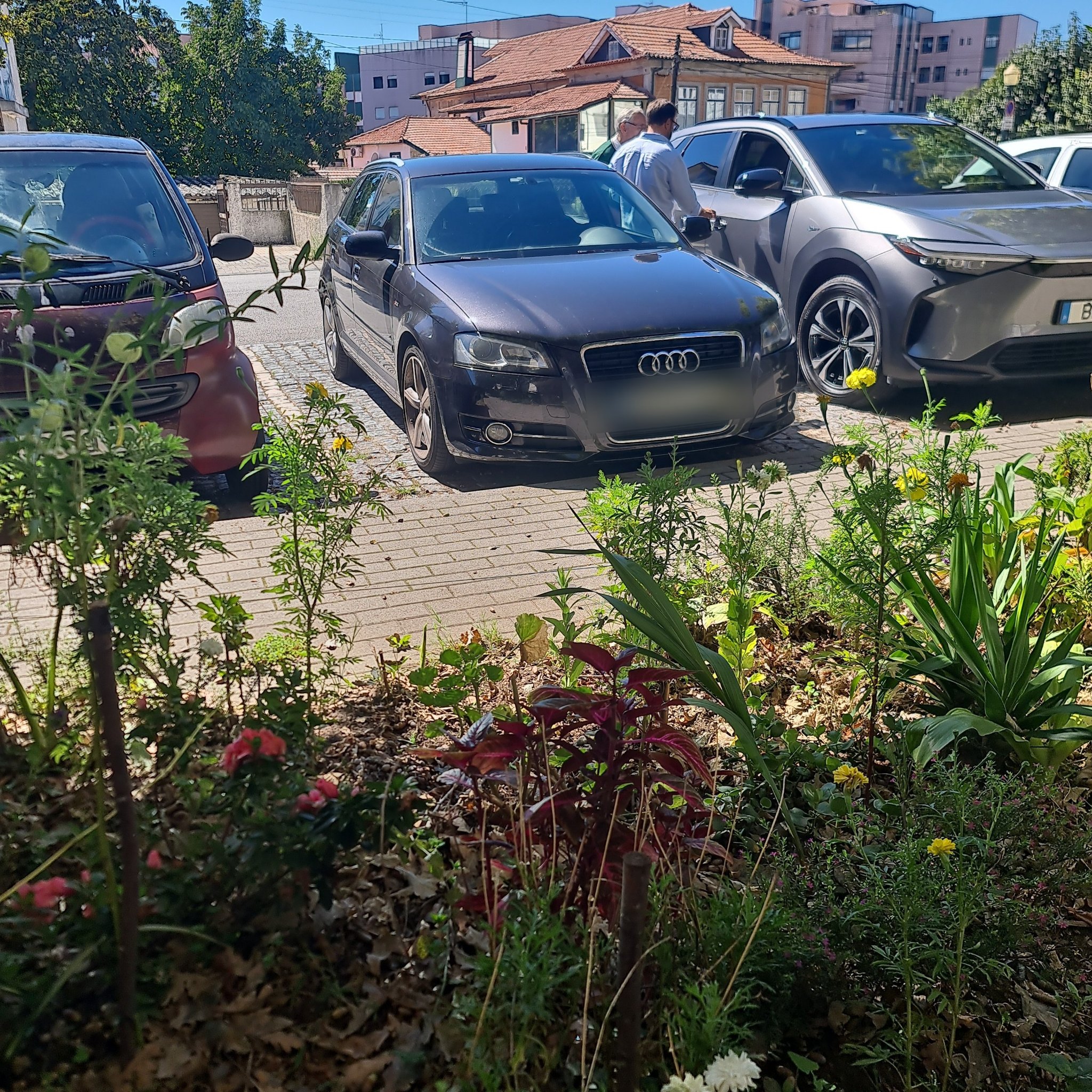2004 Audi A3 (8P) Sportback