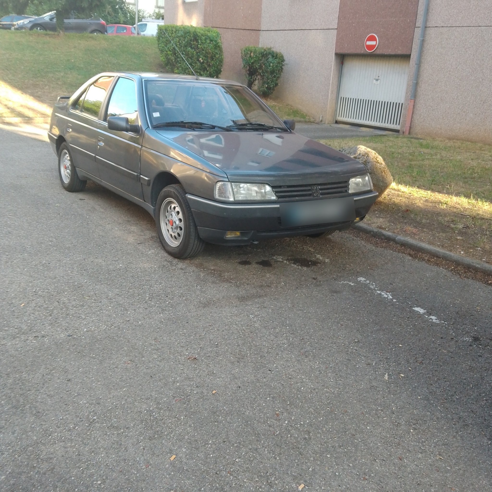 1987 Peugeot 405