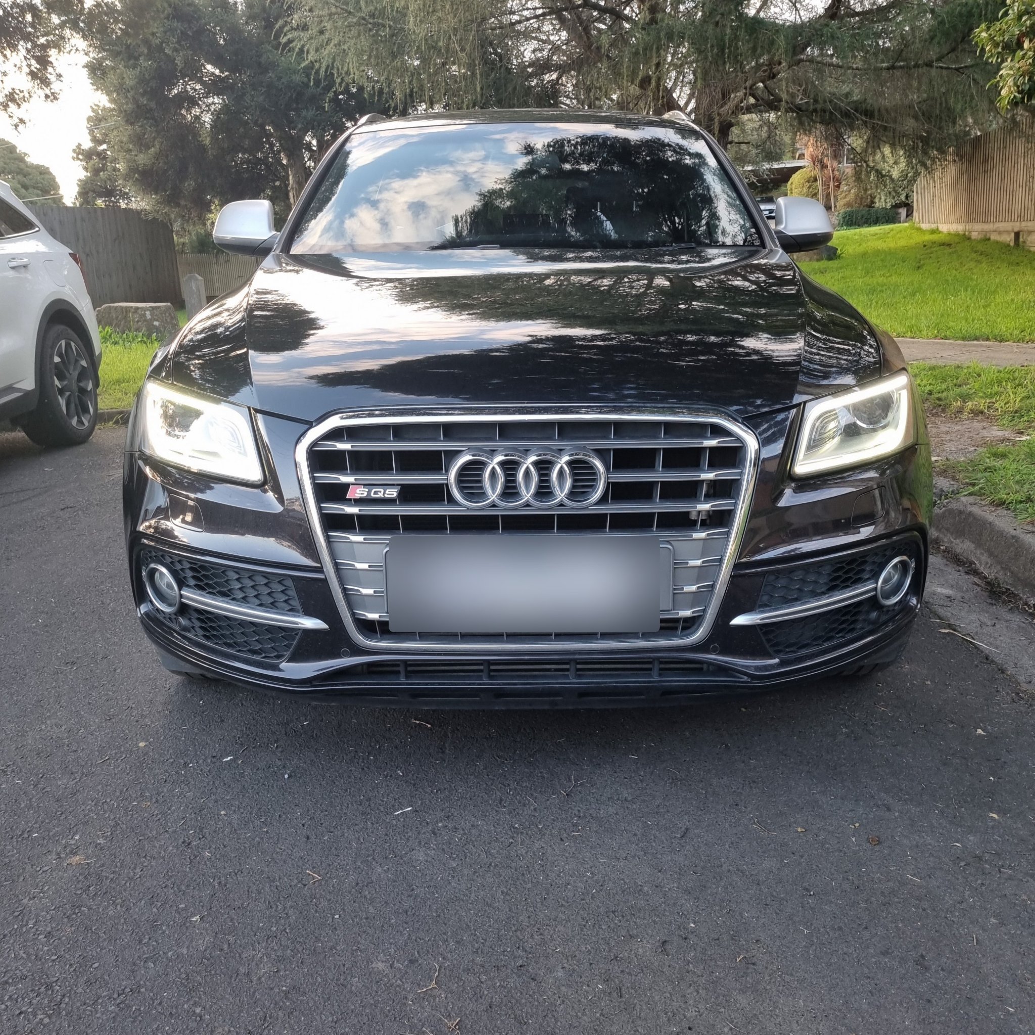 2013 Audi SQ5 (8R)