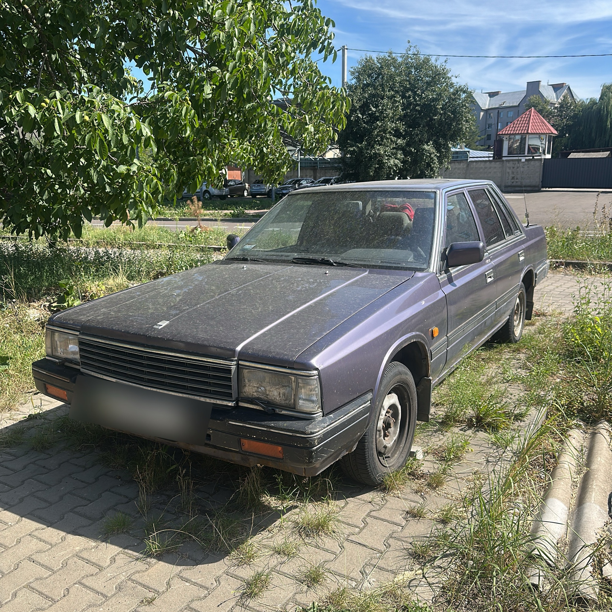 1980 Nissan Laurel (C31)