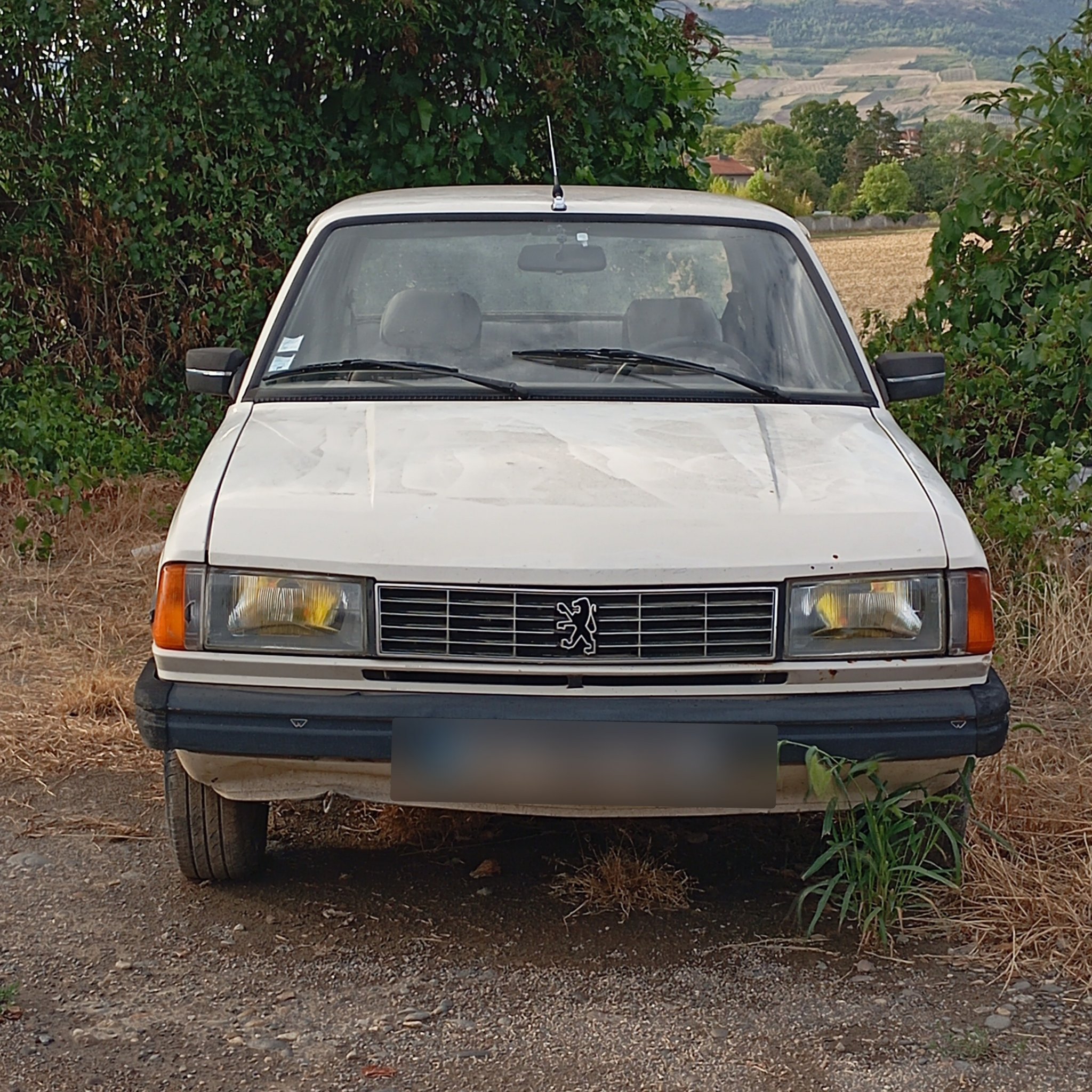 1977 Peugeot 305