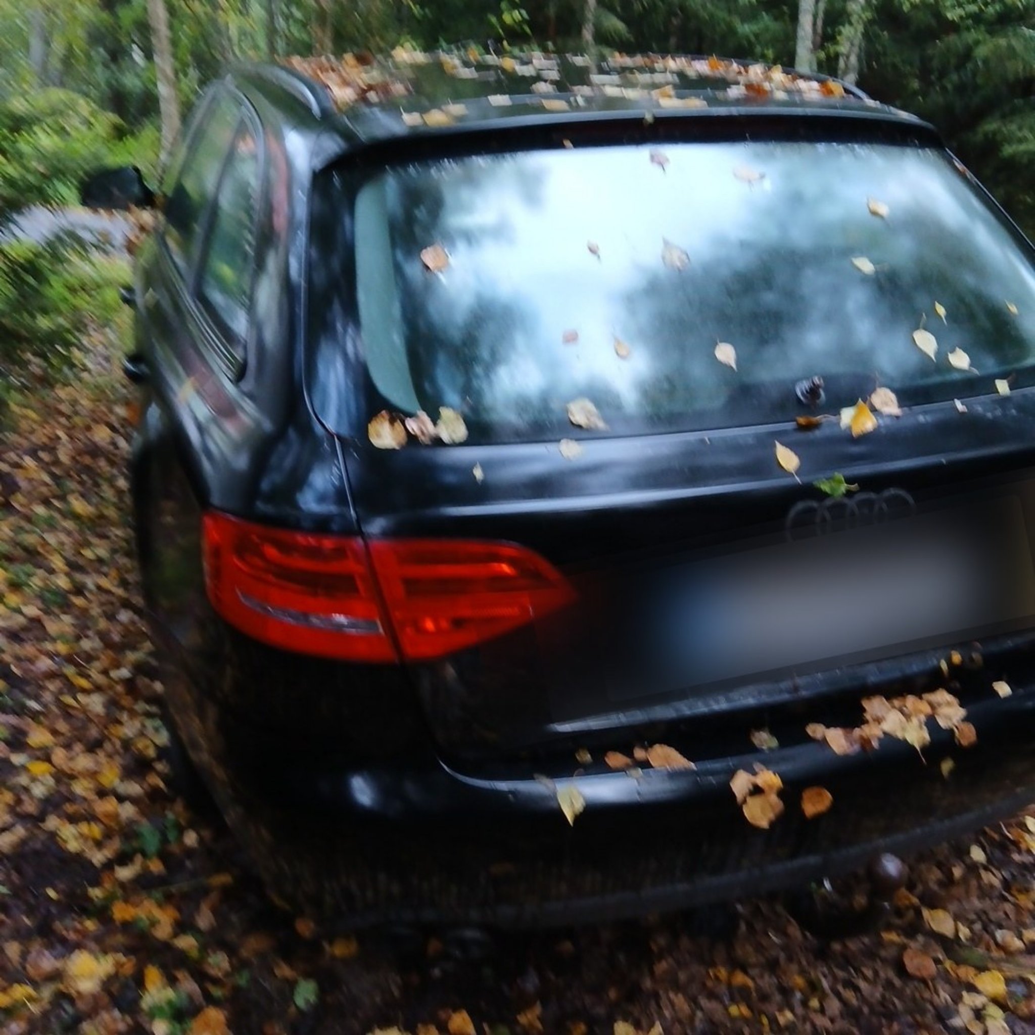 2003 Audi A3 (8P)