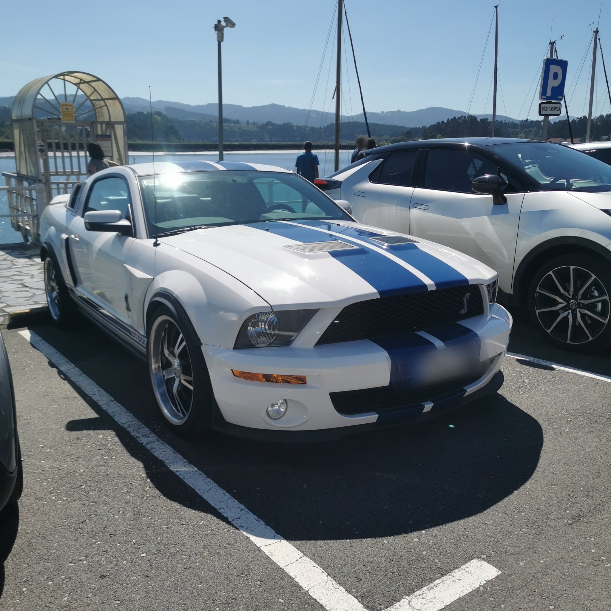 2007 Ford Mustang Shelby GT500 (S197)