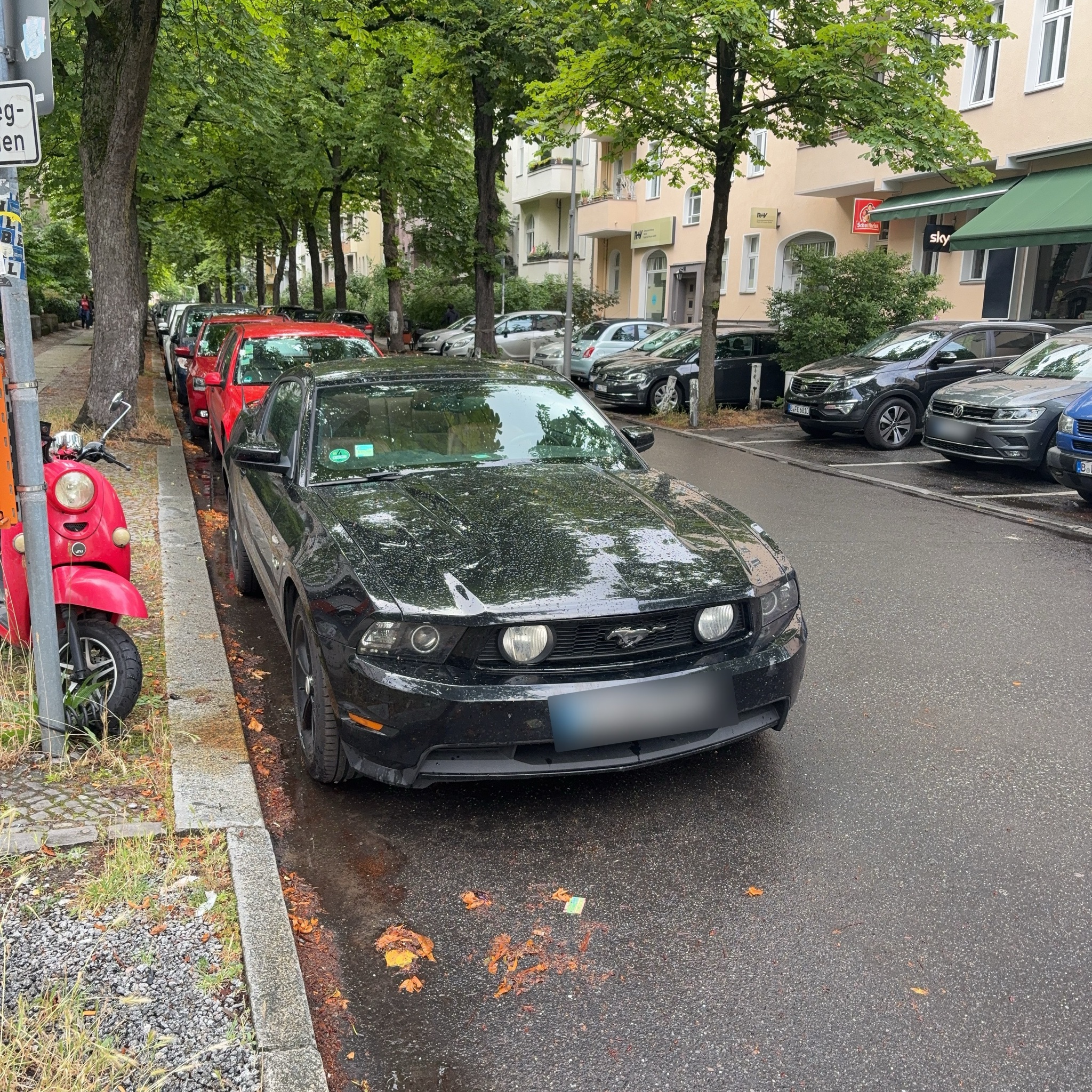 2005 Ford Mustang (S197) GT